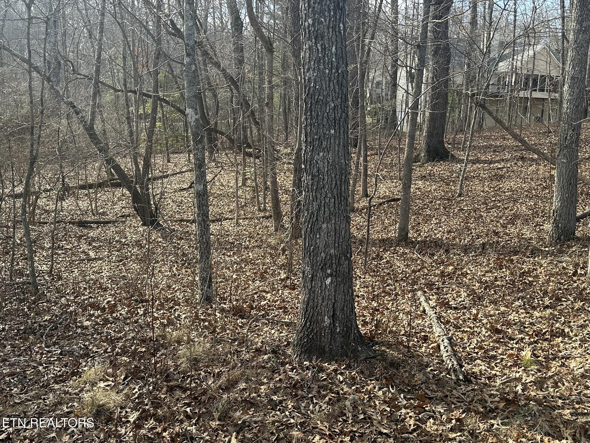133 Burrough Lane Property Photo
