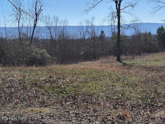 00 County Road 527 Property Photo
