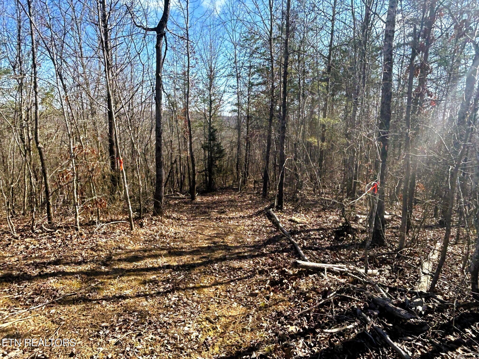 3211 N Hunter Bend Rd Property Photo 11