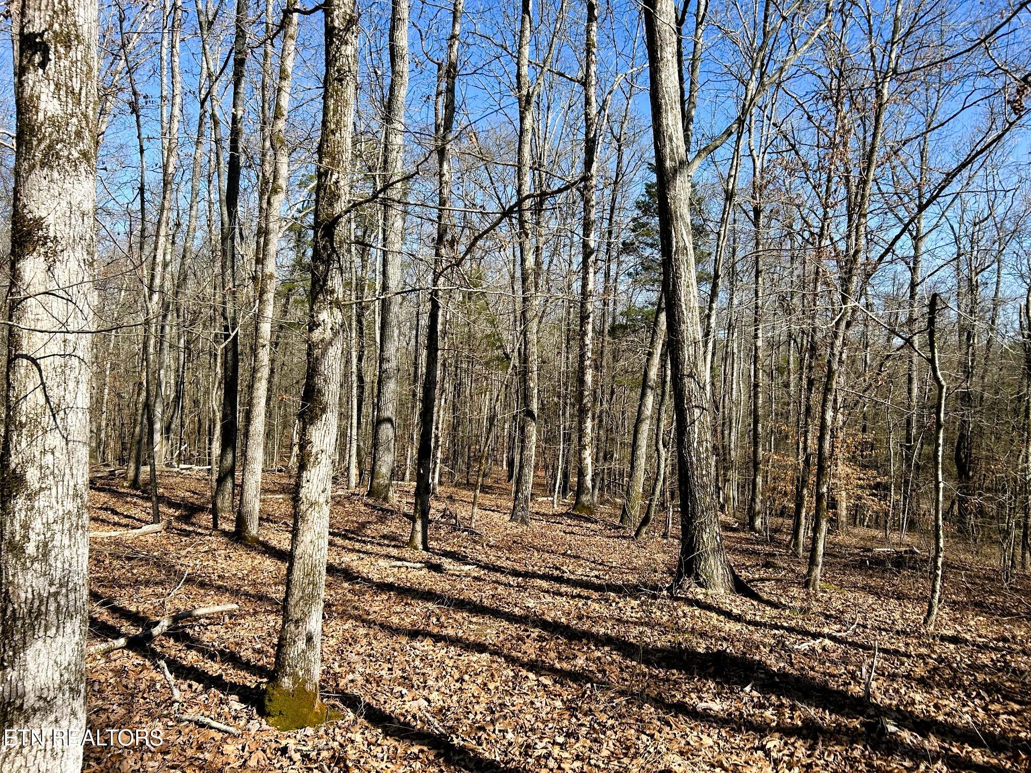 3211 N Hunter Bend Rd Property Photo 12