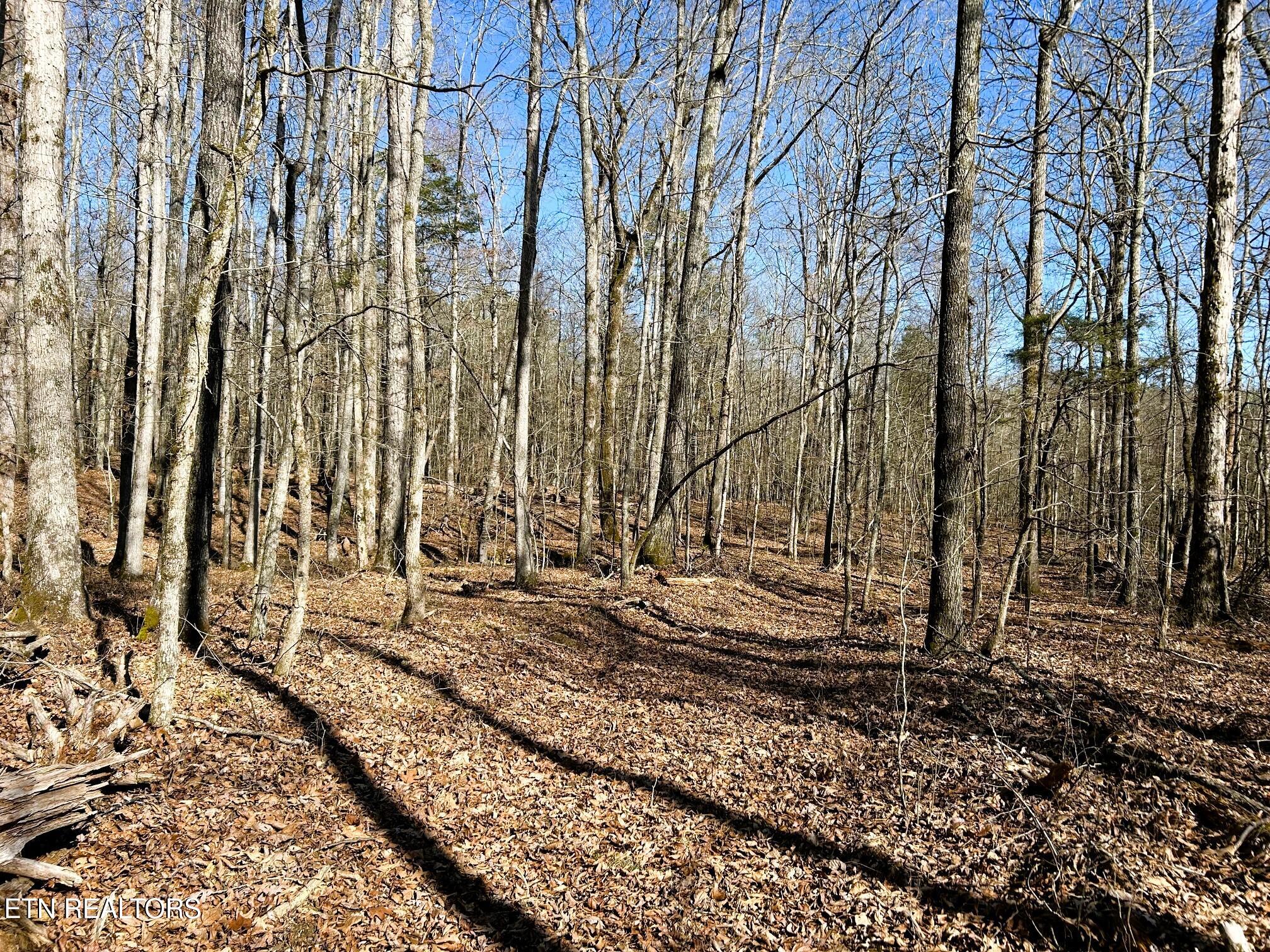 3211 N Hunter Bend Rd Property Photo 19