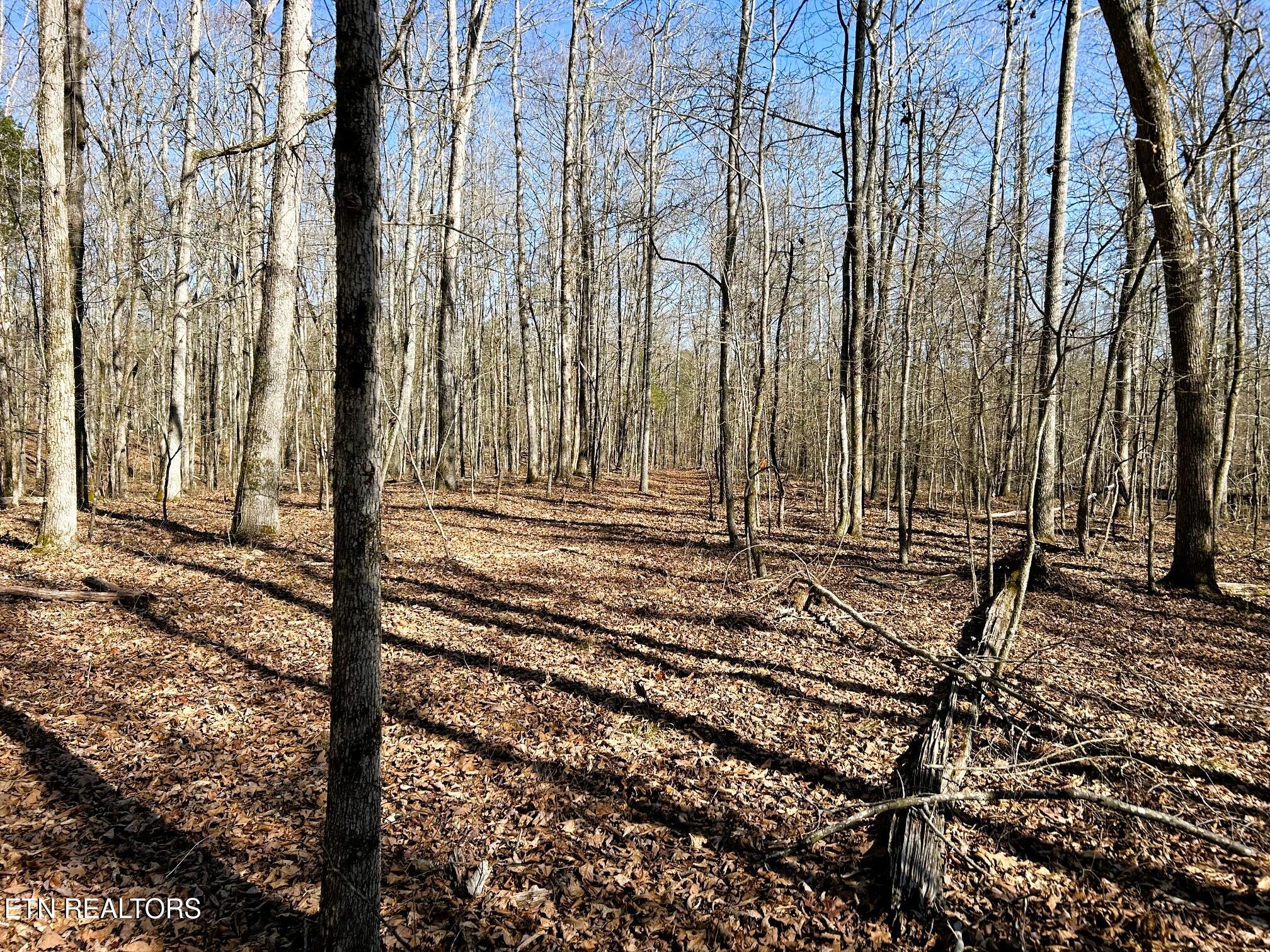 3211 N Hunter Bend Rd Property Photo 21