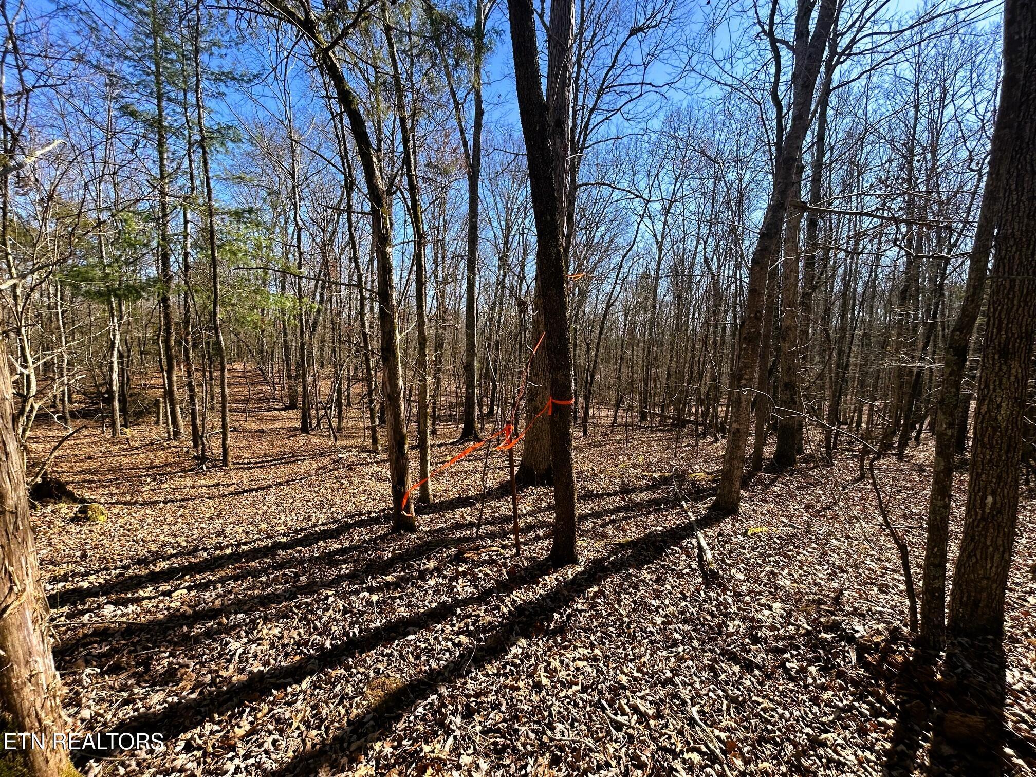 3211 N Hunter Bend Rd Property Photo 34