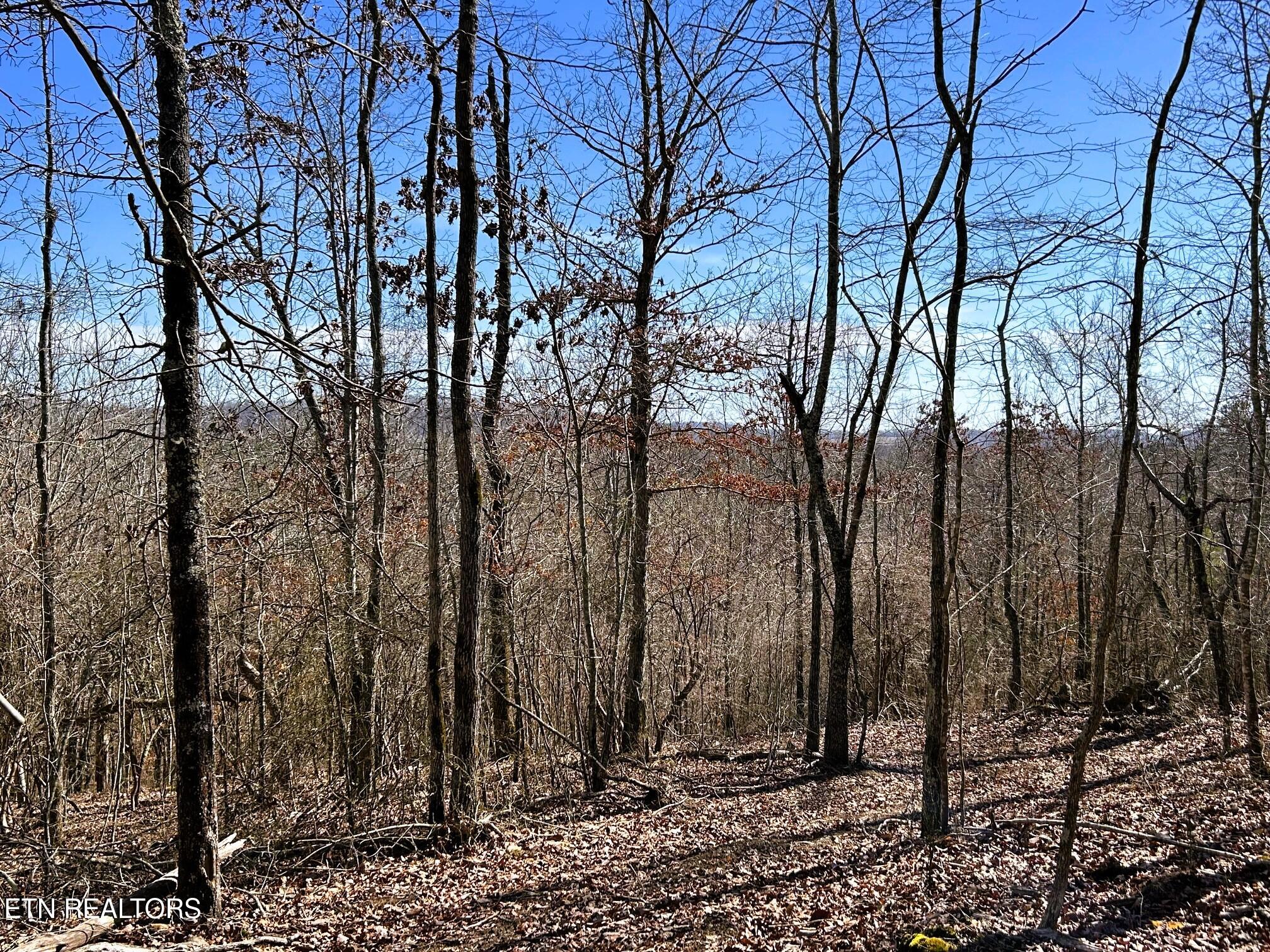 3211 N Hunter Bend Rd Property Photo 40