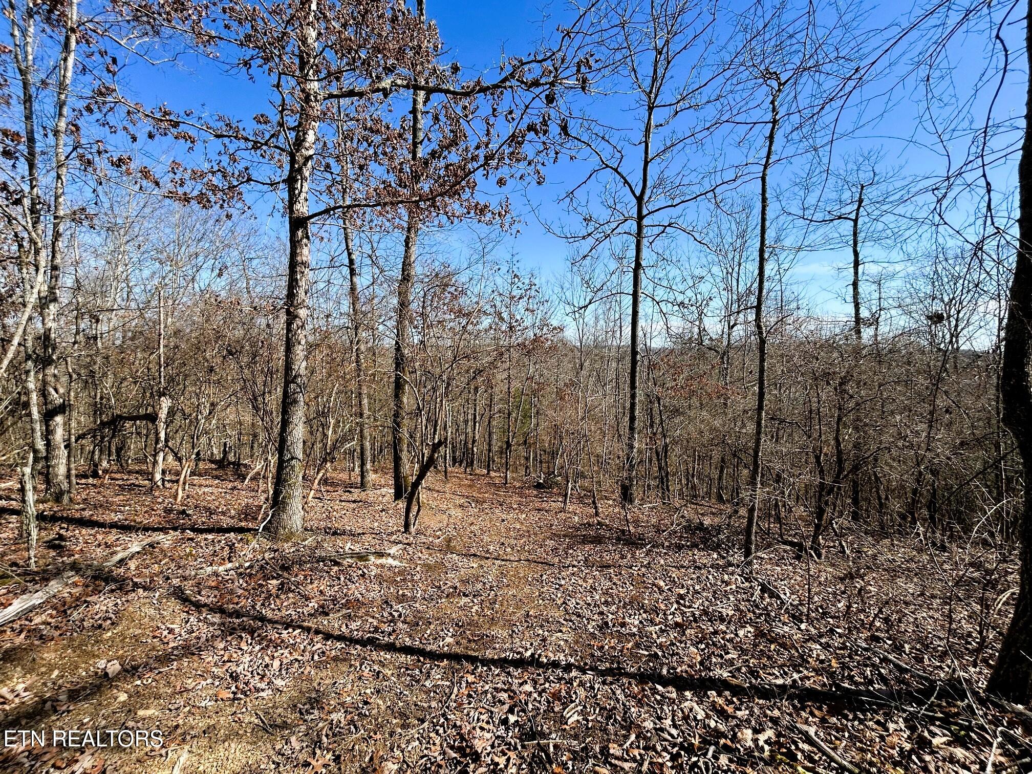 3211 N Hunter Bend Rd Property Photo 44