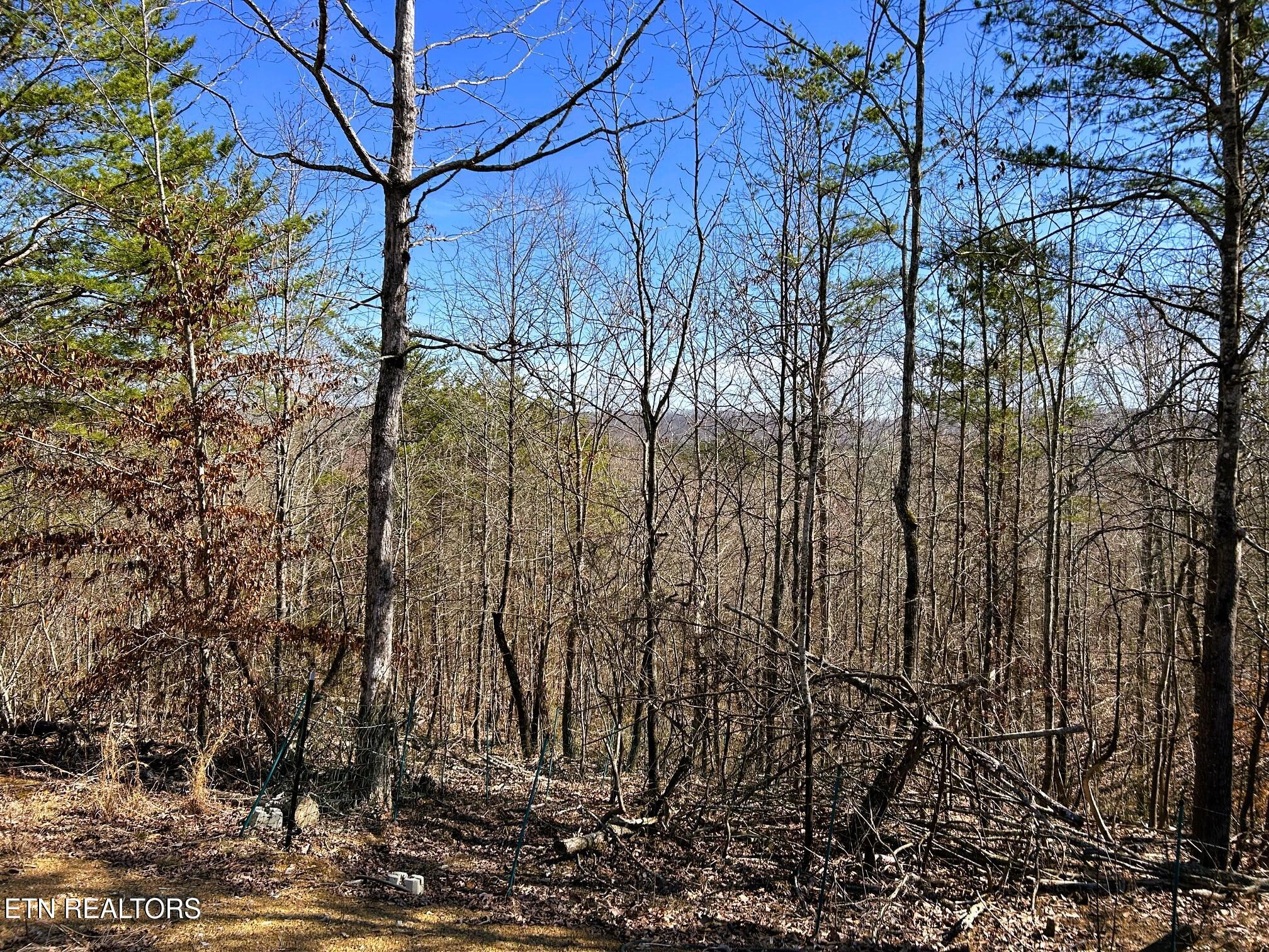 3211 N Hunter Bend Rd Property Photo 49