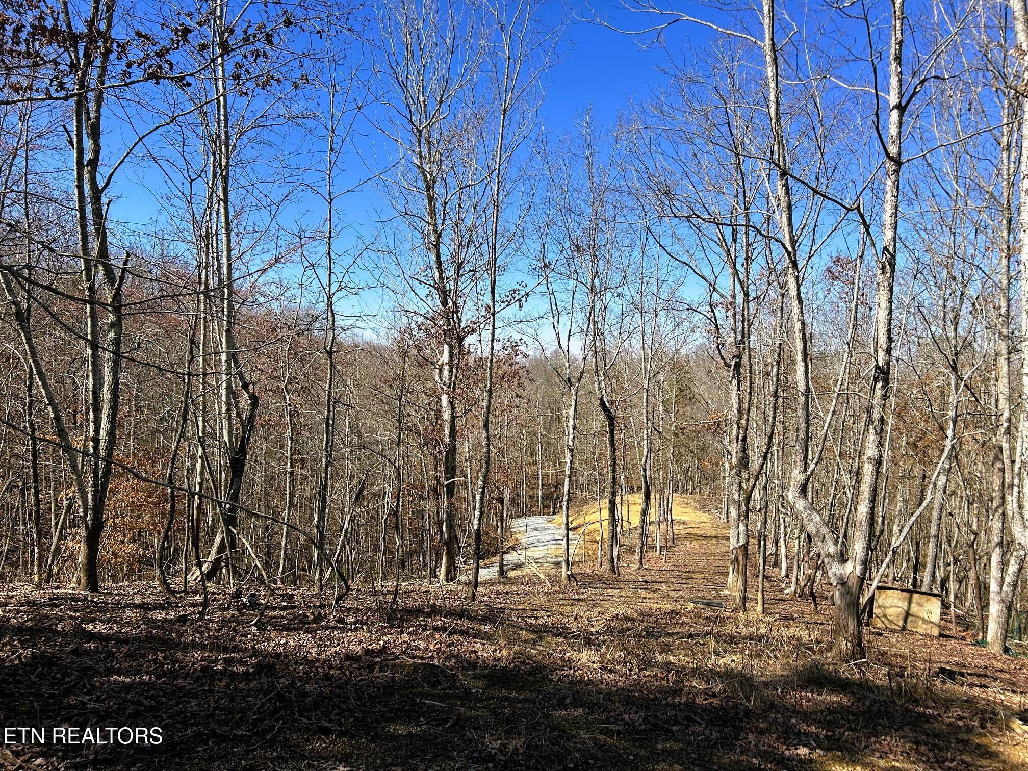 3211 N Hunter Bend Rd Property Photo 52
