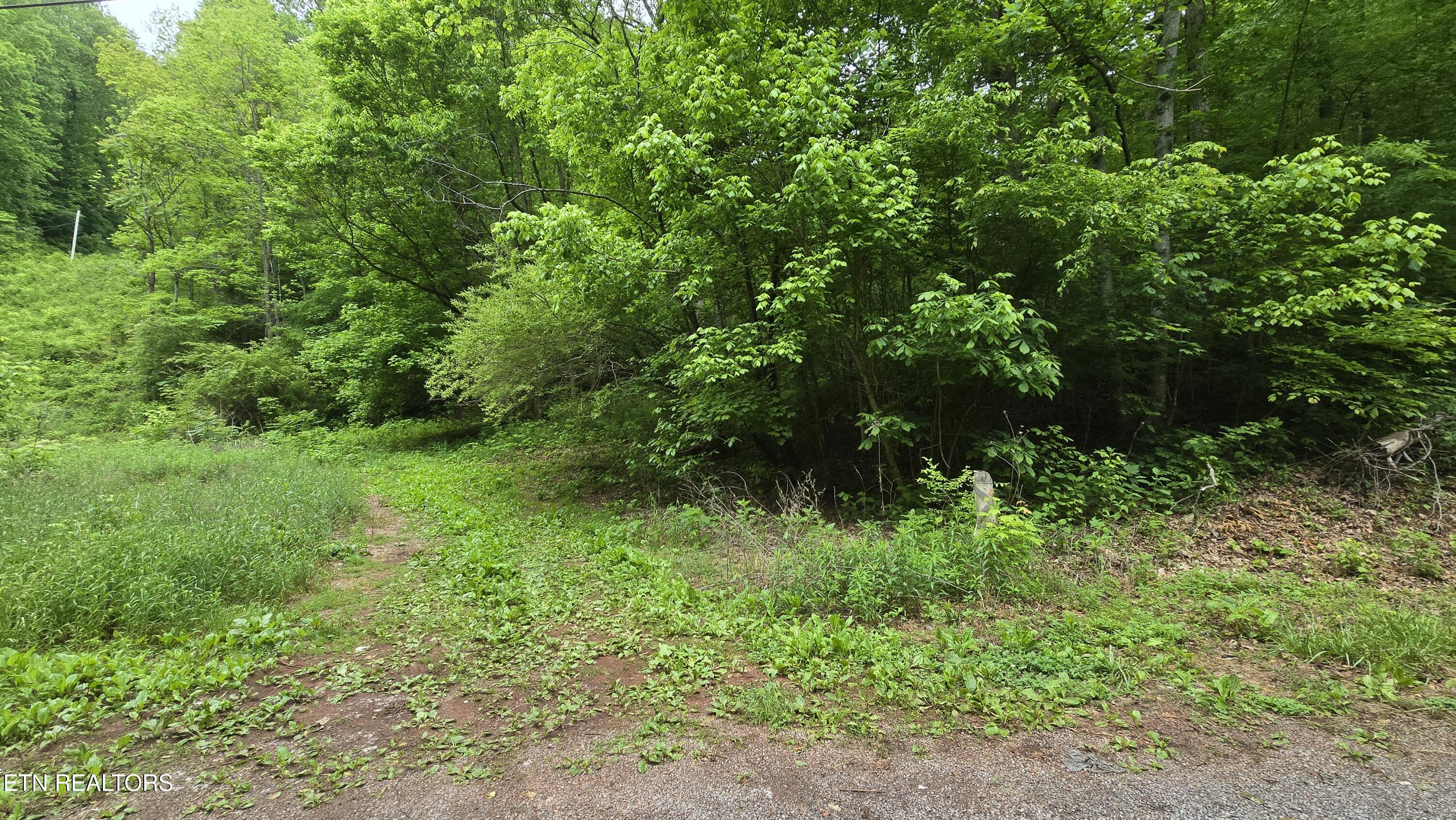 Red Ankle Rd Property Photo