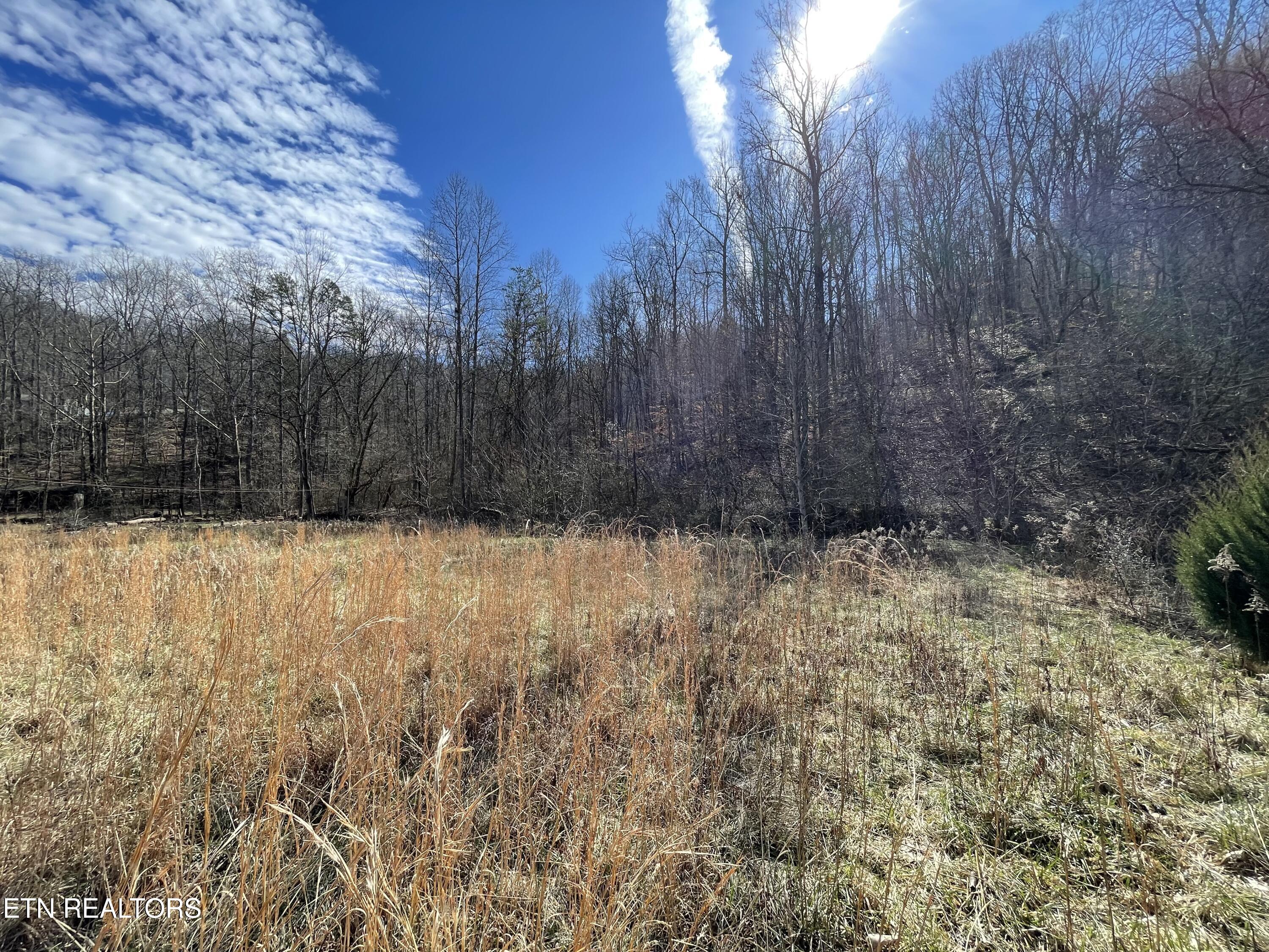 26 Ac Burger Branch County Rd 464 Property Photo