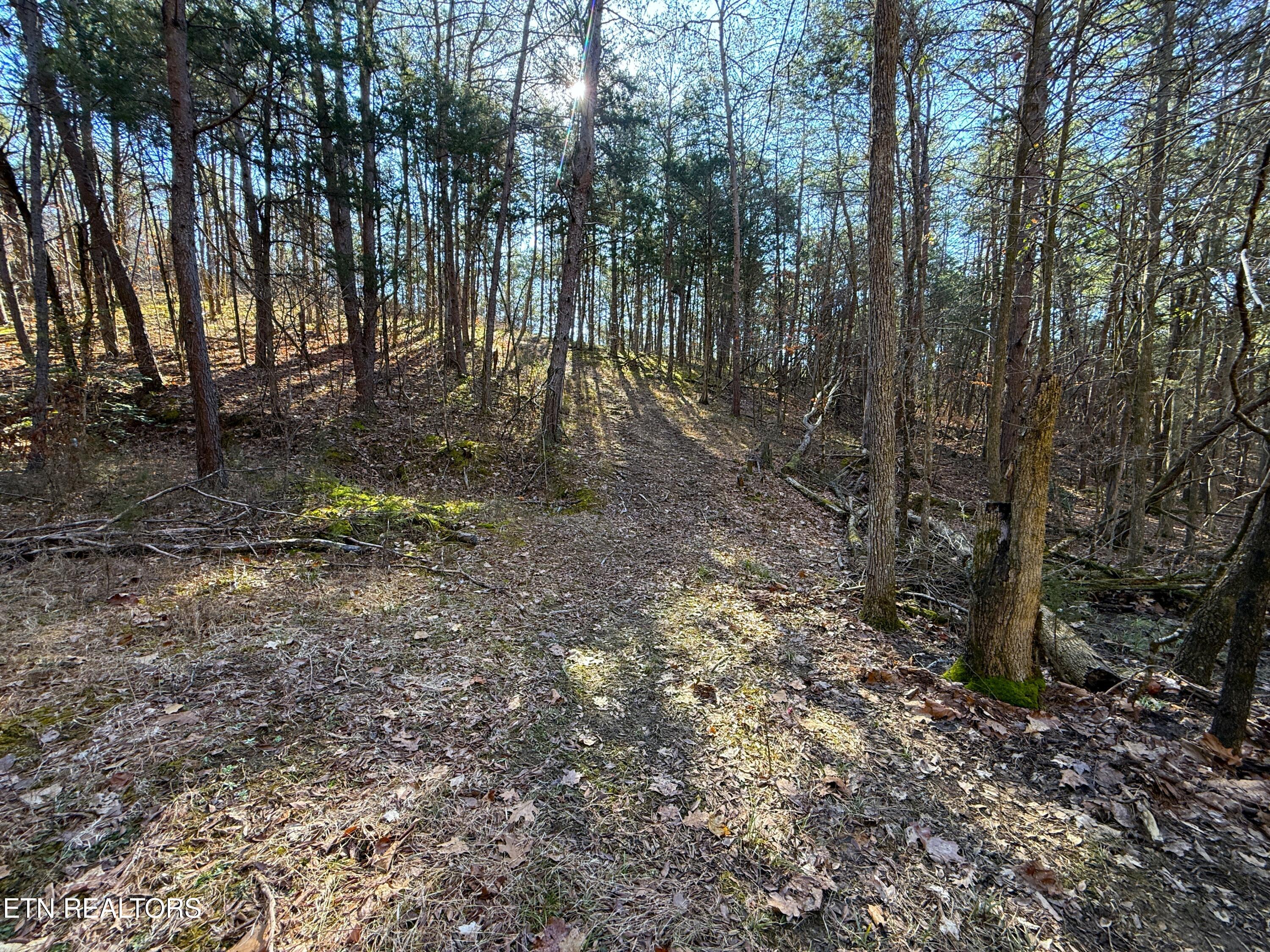 13.5 Acres Buck Horn Rd Property Photo
