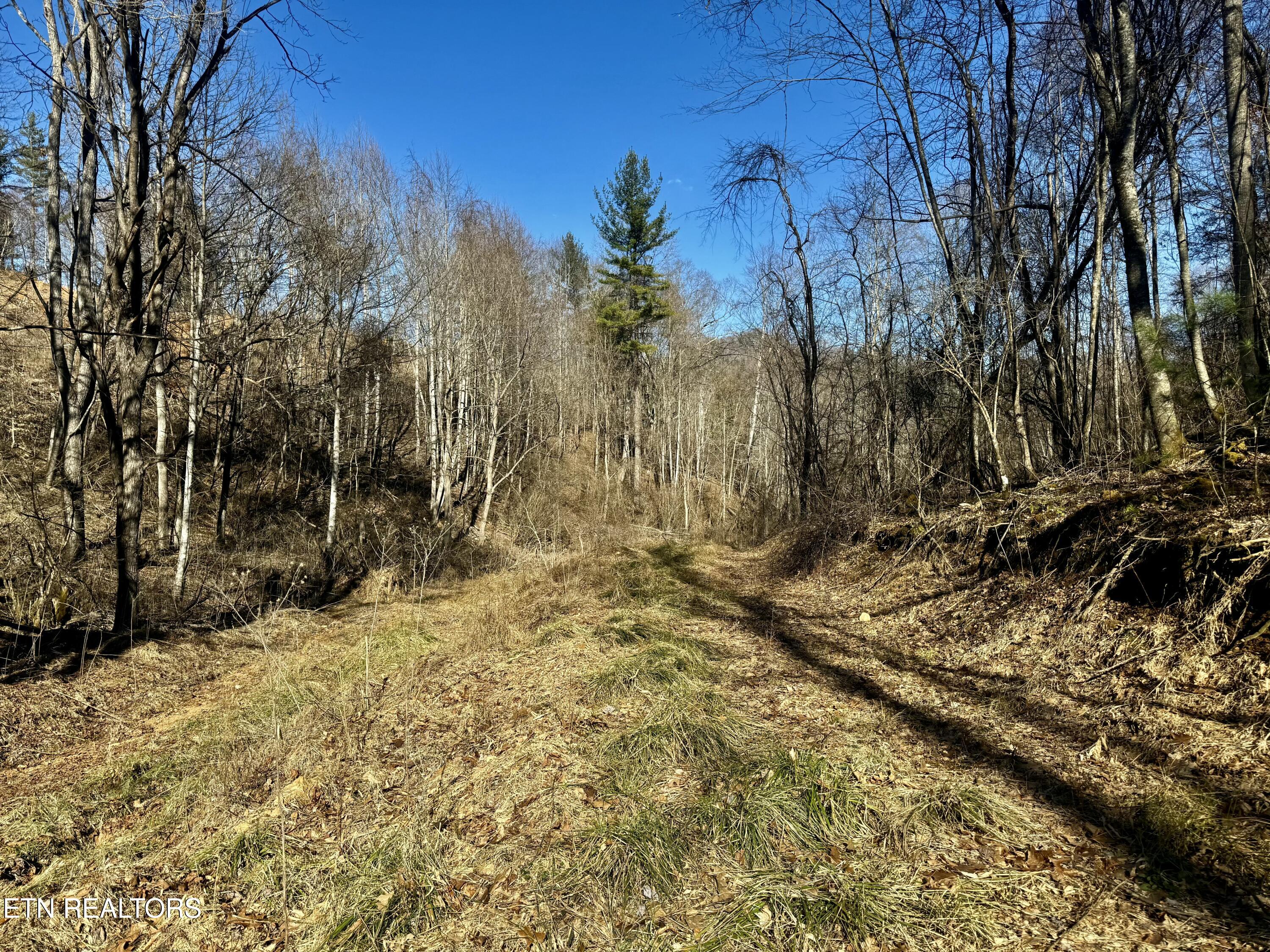 Hwy 421 Property Photo