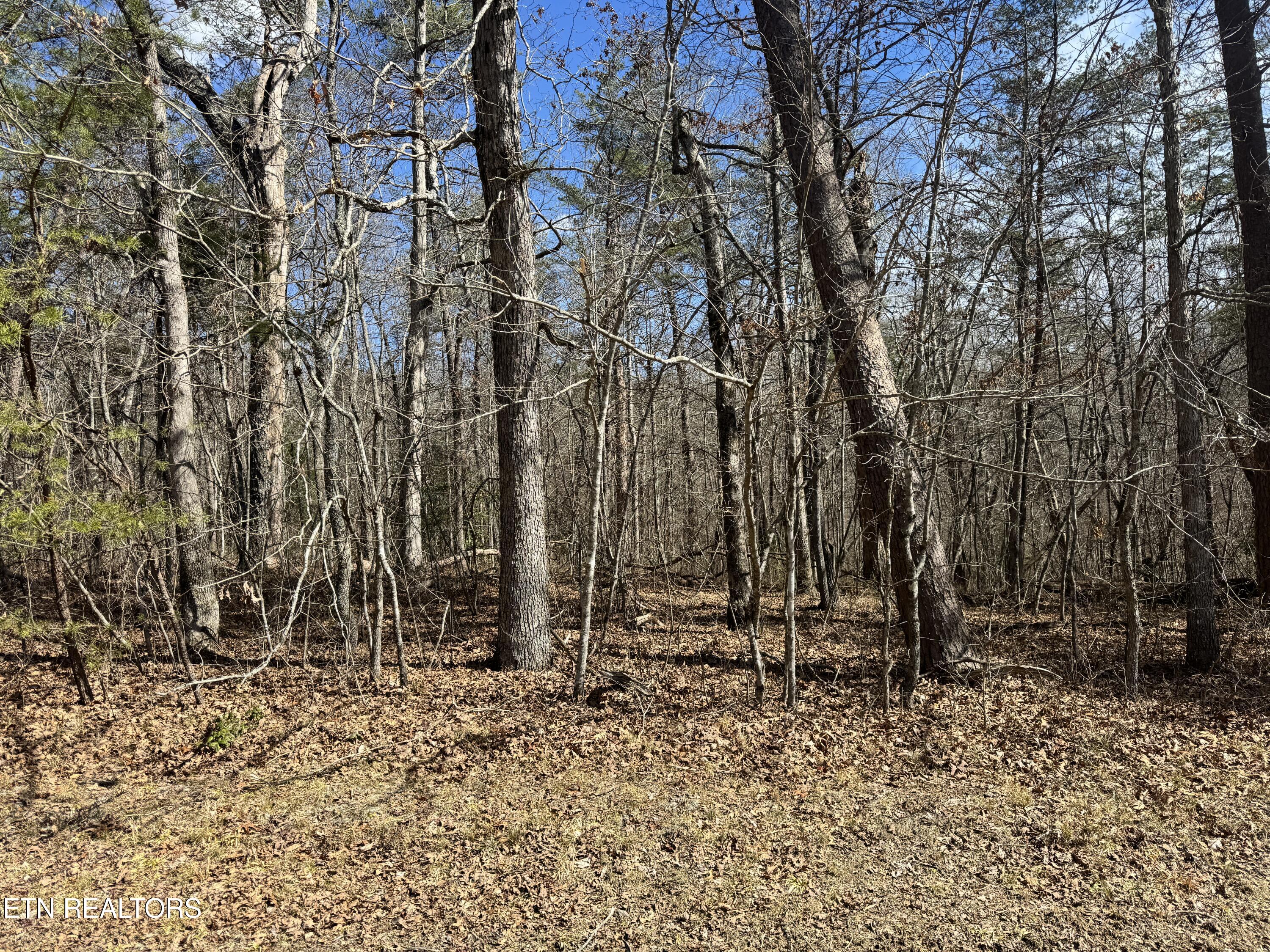 Cumberland Lakes Drive Property Photo