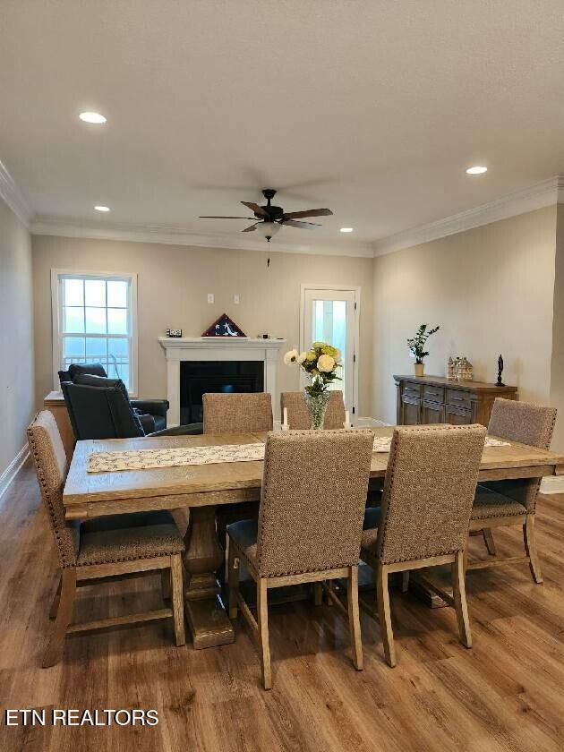581 Timberline Drive Property Photo 14