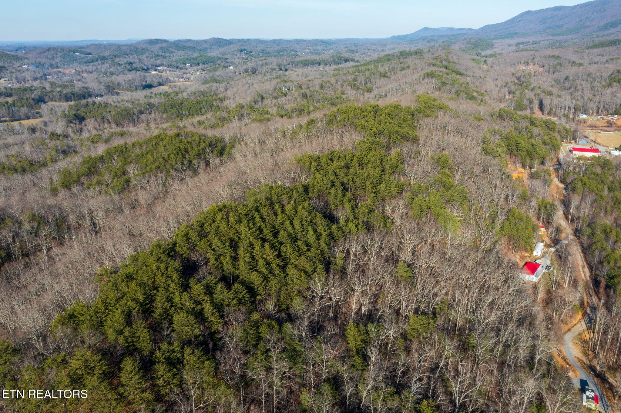 3336 Turkey Pen Branch Rd Property Photo 4