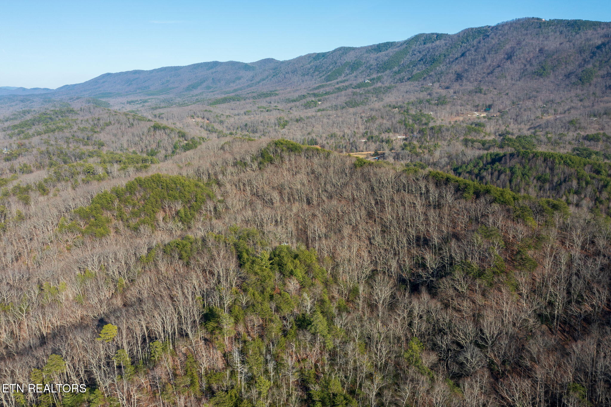 3336 Turkey Pen Branch Rd Property Photo 6