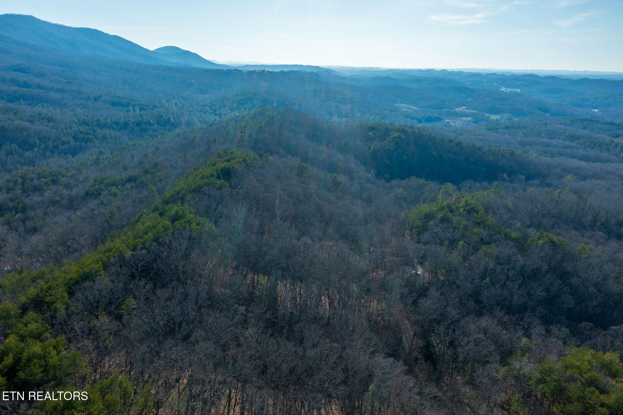 3336 Turkey Pen Branch Rd Property Photo 8