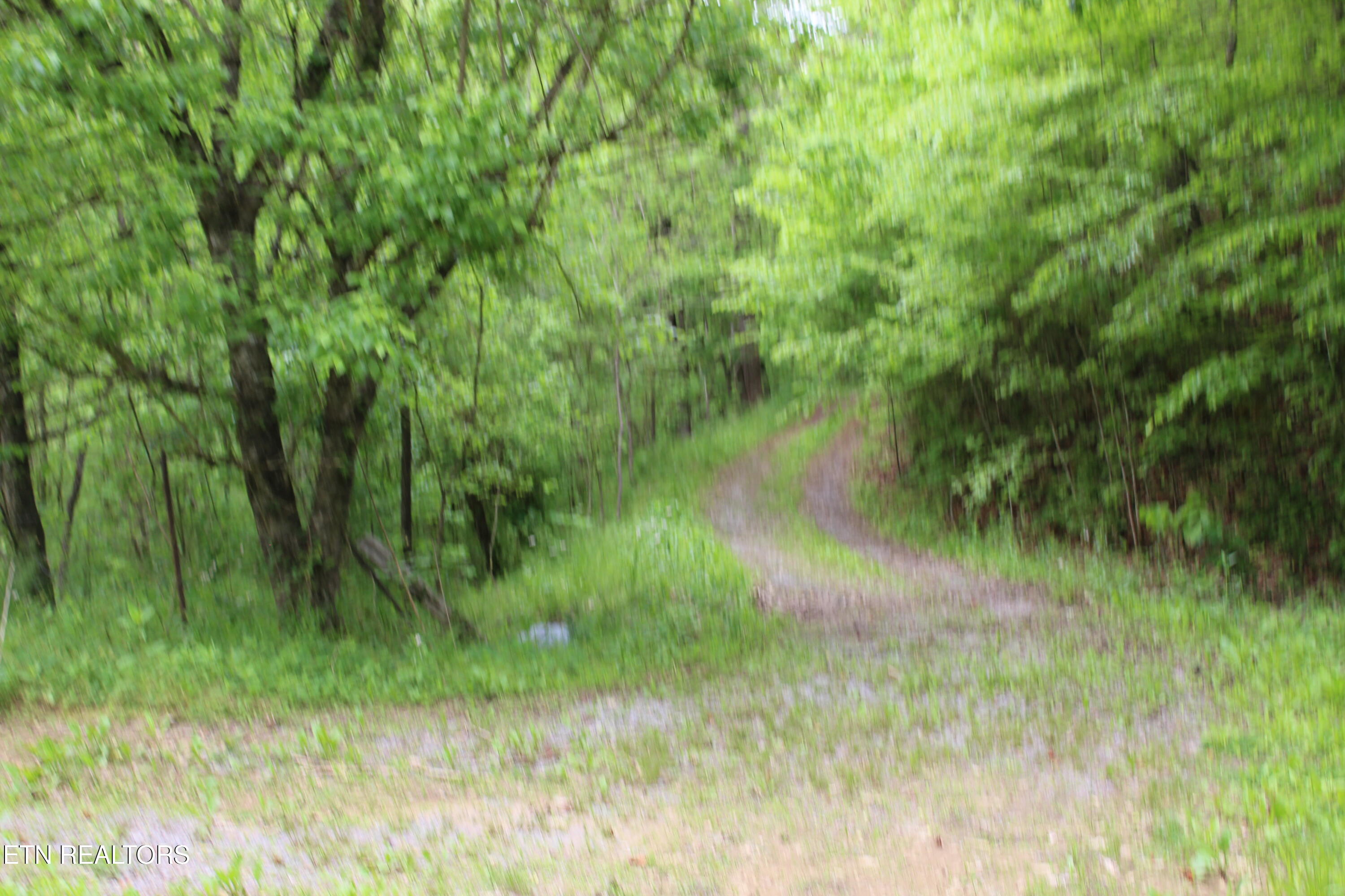 Leatherwood Rd Property Photo