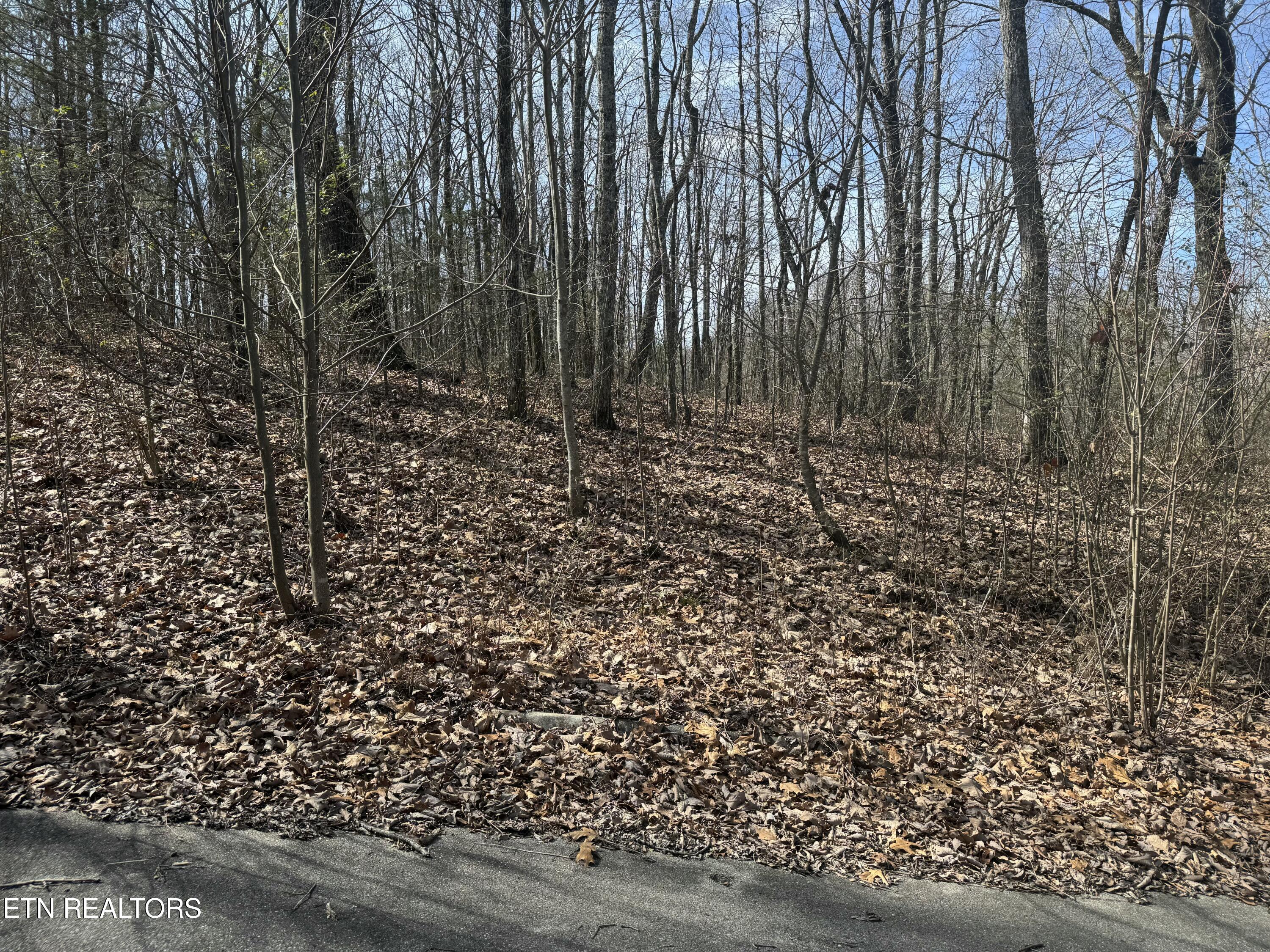 975 County Road 316 Lot 139 Property Photo