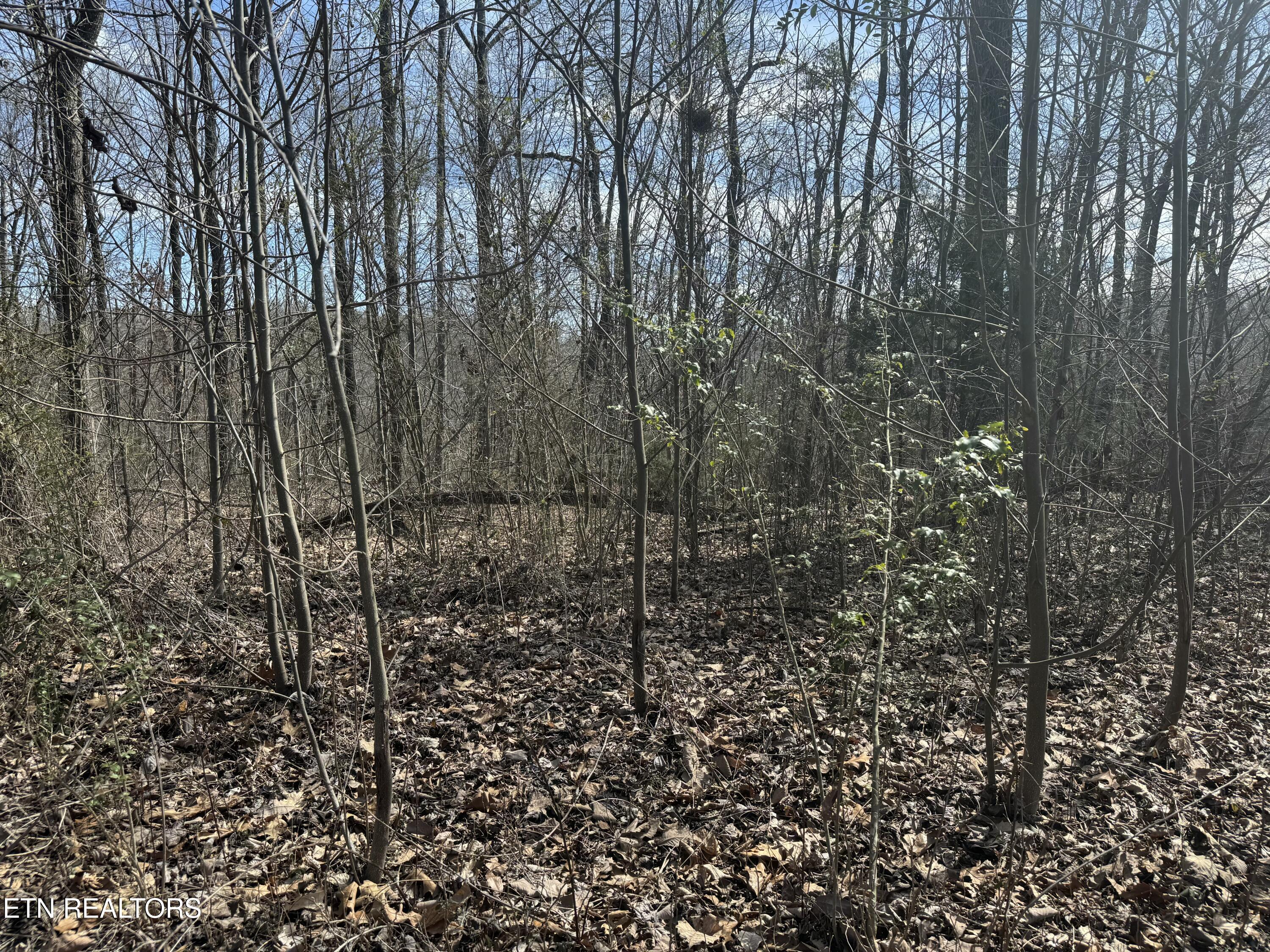 975 County Road 316 Lot 178 Property Photo 3