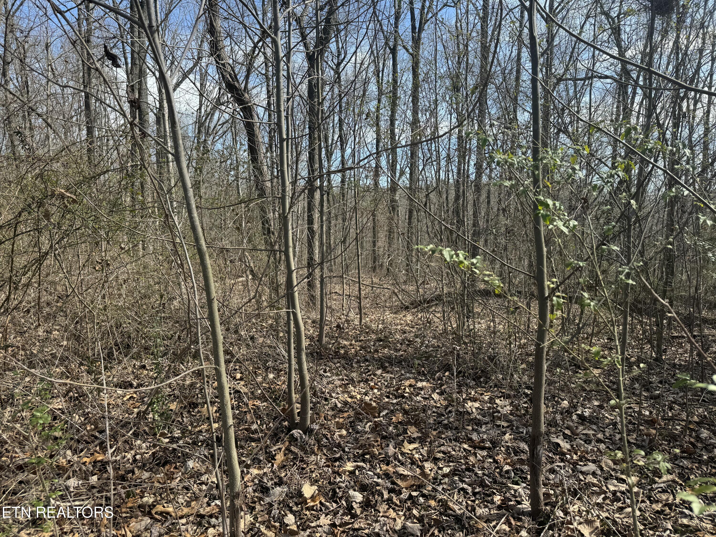 975 County Road 316 Lot 178 Property Photo 4