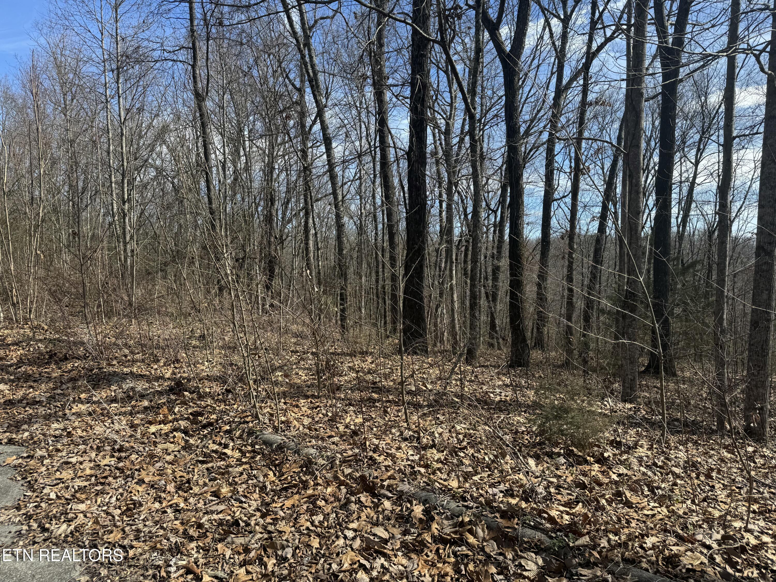 975 County Road 316 Lot 178 Property Photo 5