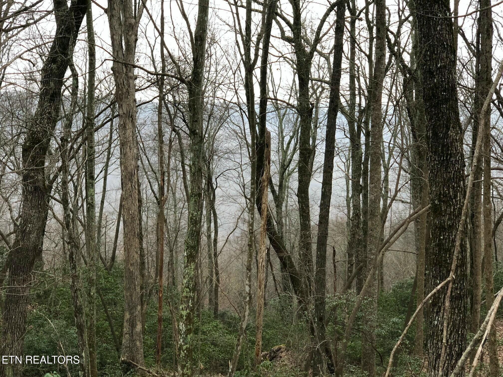 Cumberland Cove Rd Property Photo