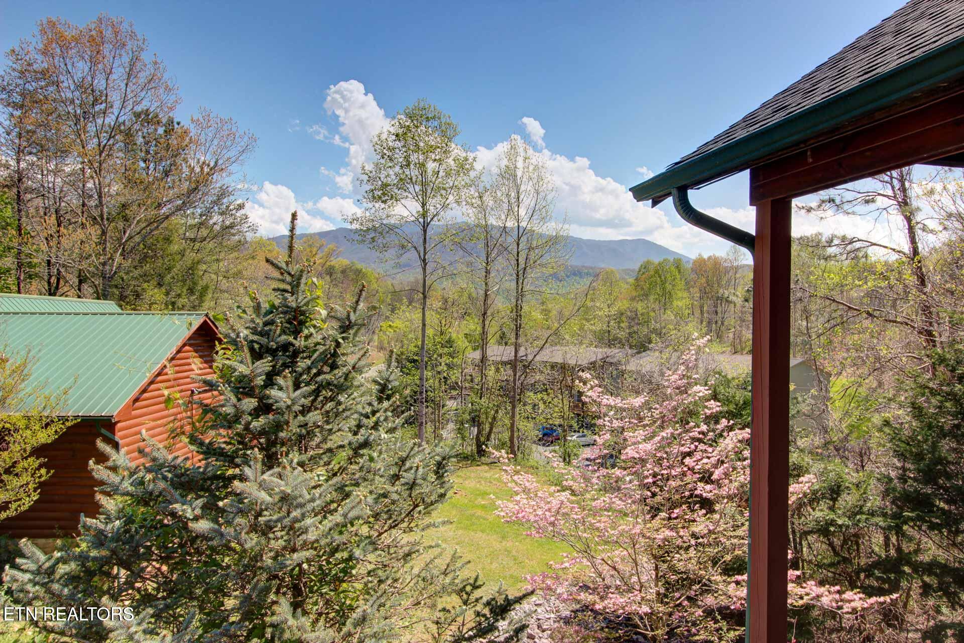 1716 Smoky Hills Drive Property Photo 46