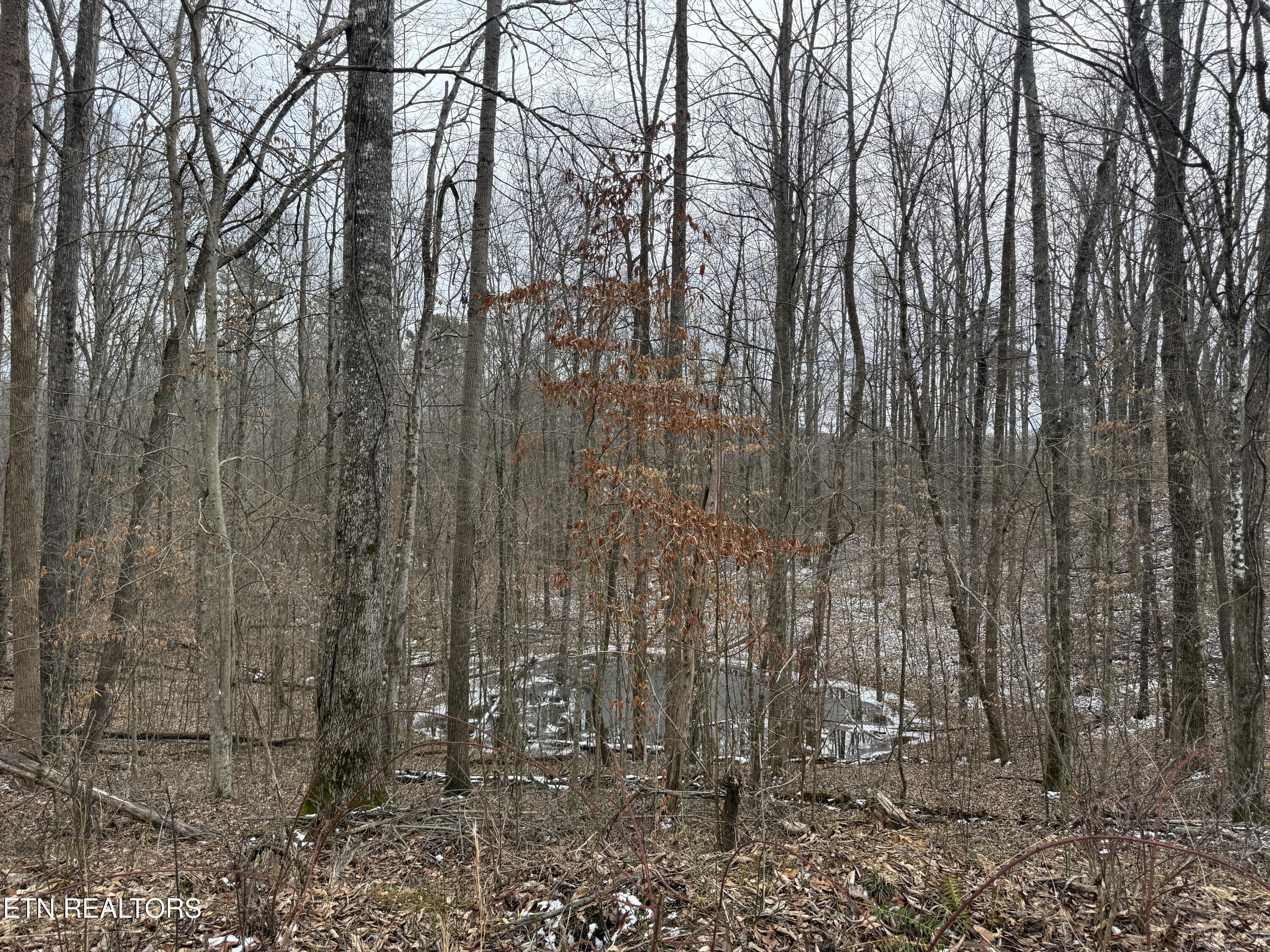 Jones Ridge Rd Rd Property Photo