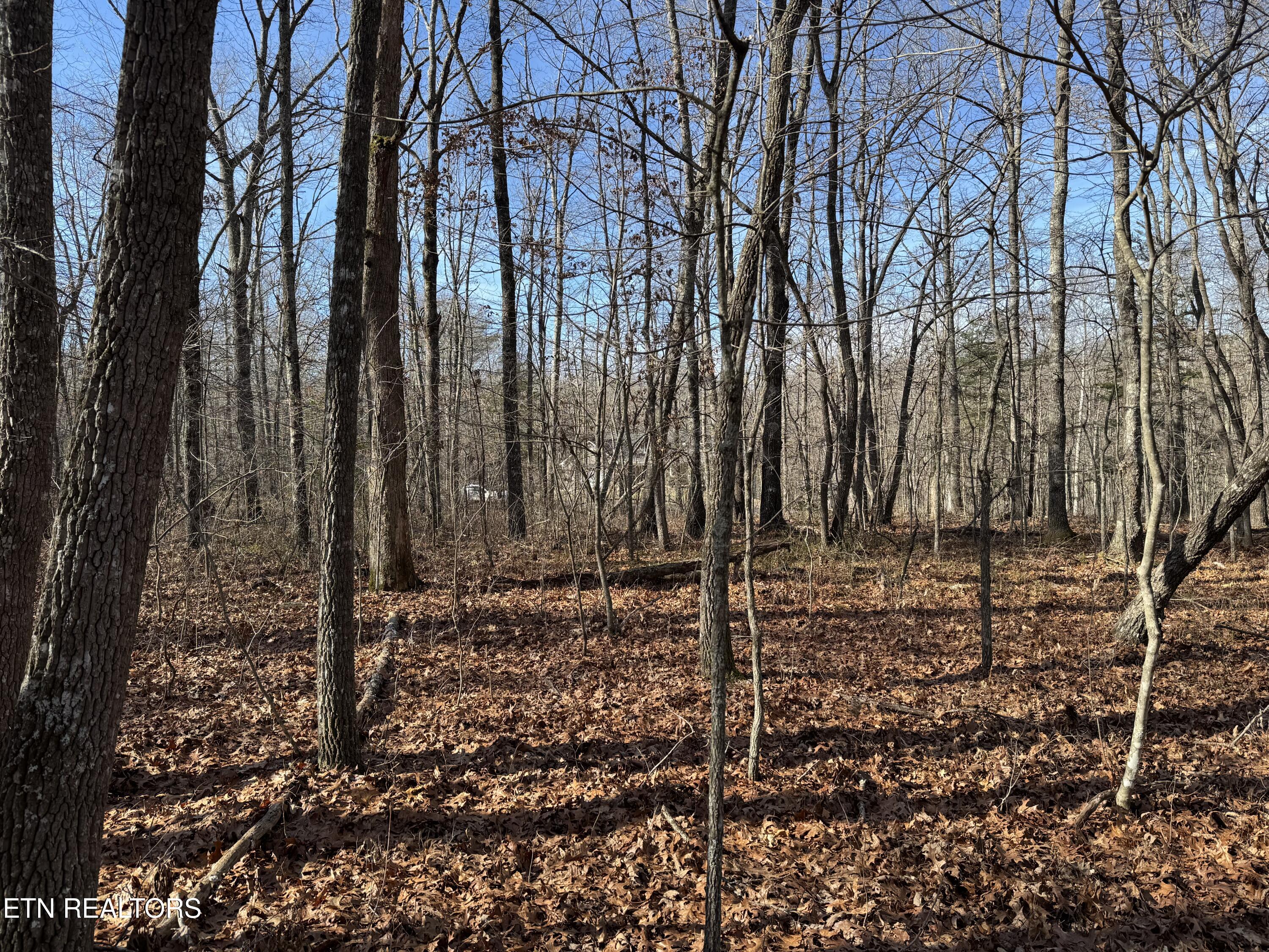 Sycamore Bend Property Photo