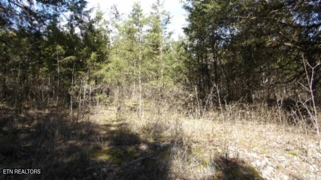 Smith County County Real Estate Listings Main Image