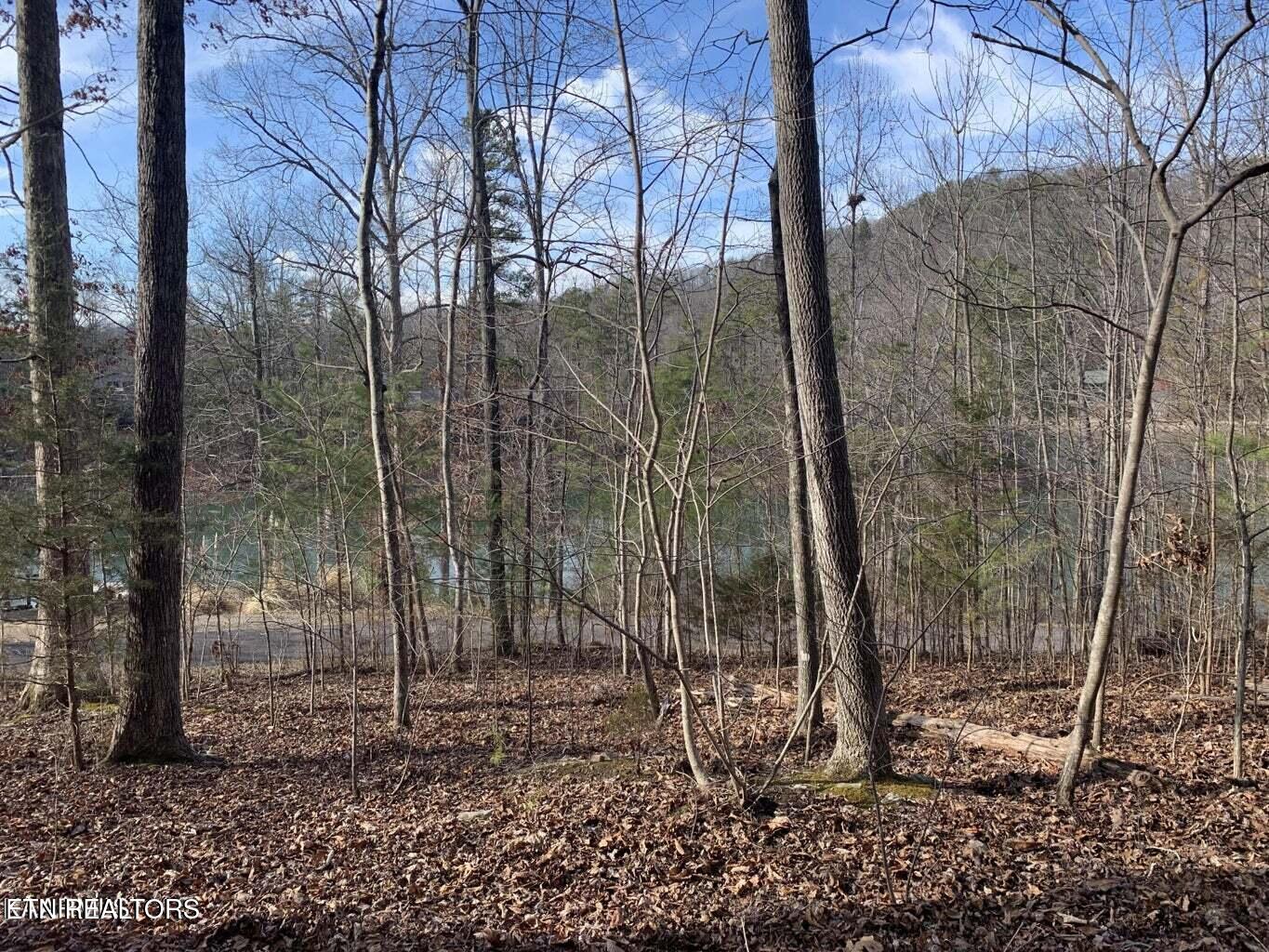 Lot 170 Laurel Lake Circle Circle Property Photo