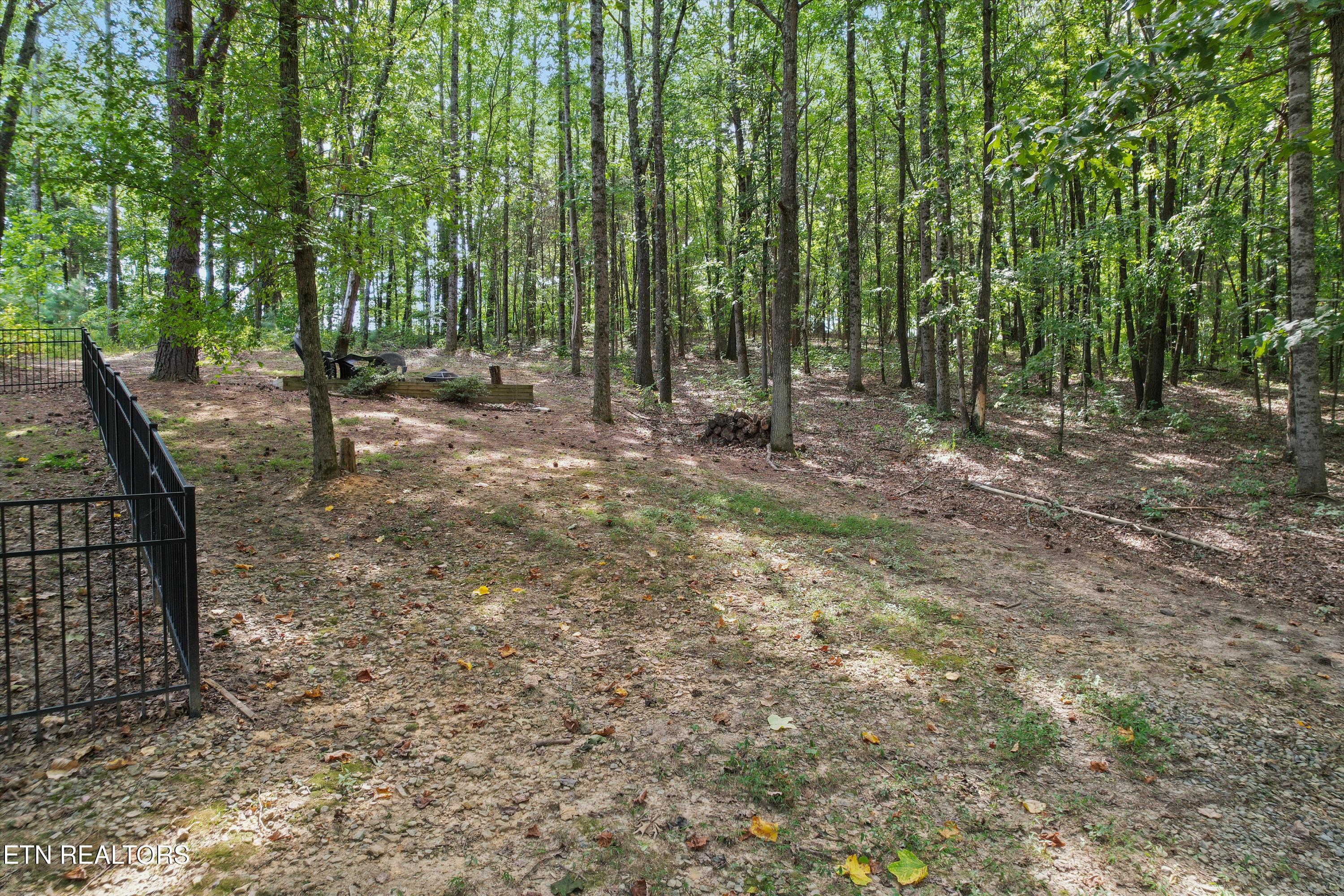 1021 Goldfinch Trail Tr Property Photo 47