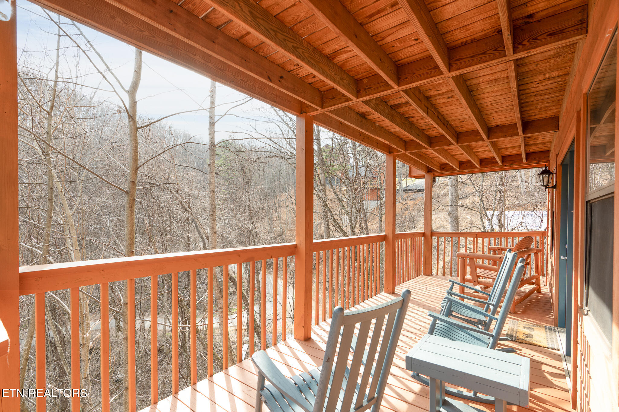 1136 Laddie Buck Lane Property Photo 10
