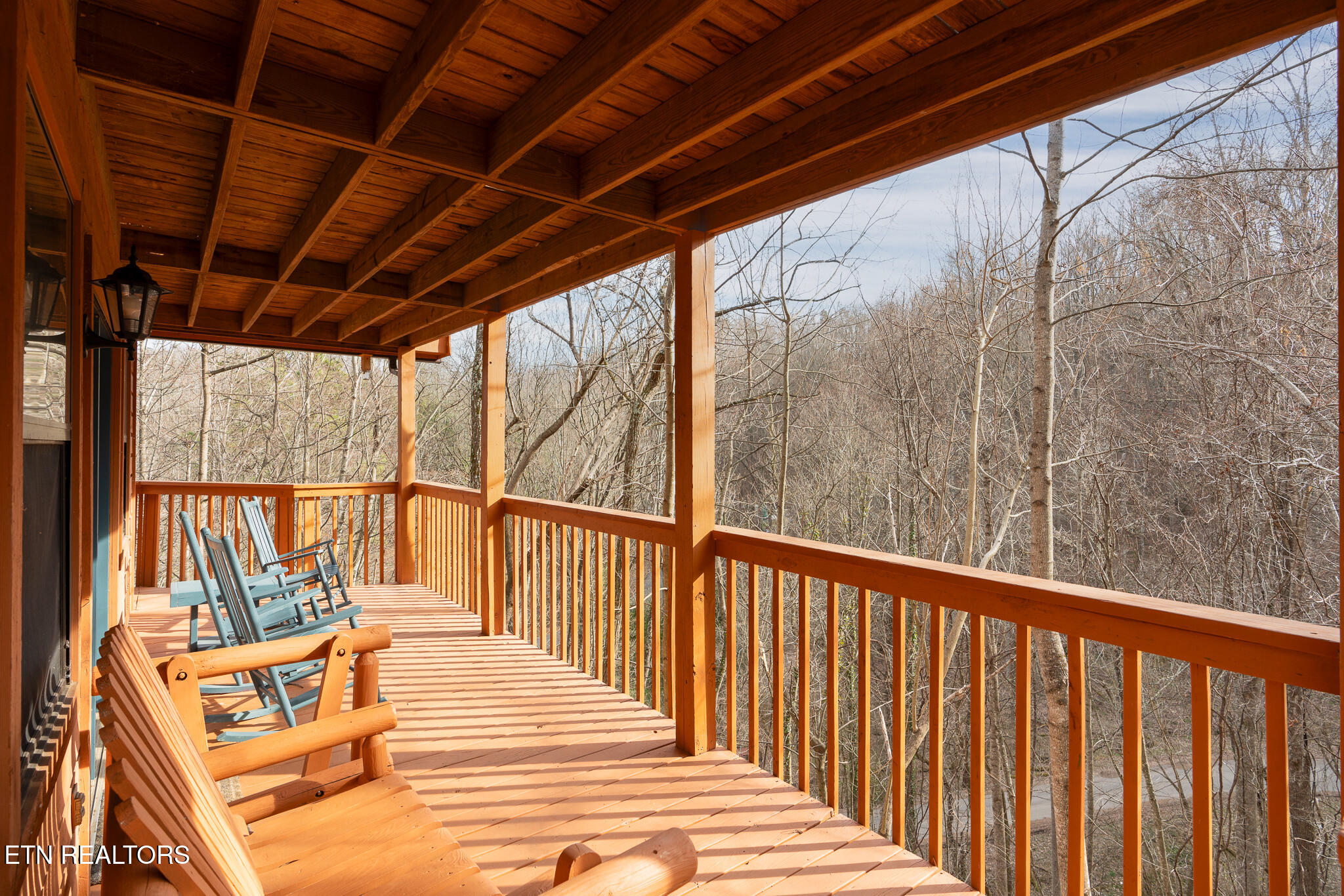 1136 Laddie Buck Lane Property Photo 12
