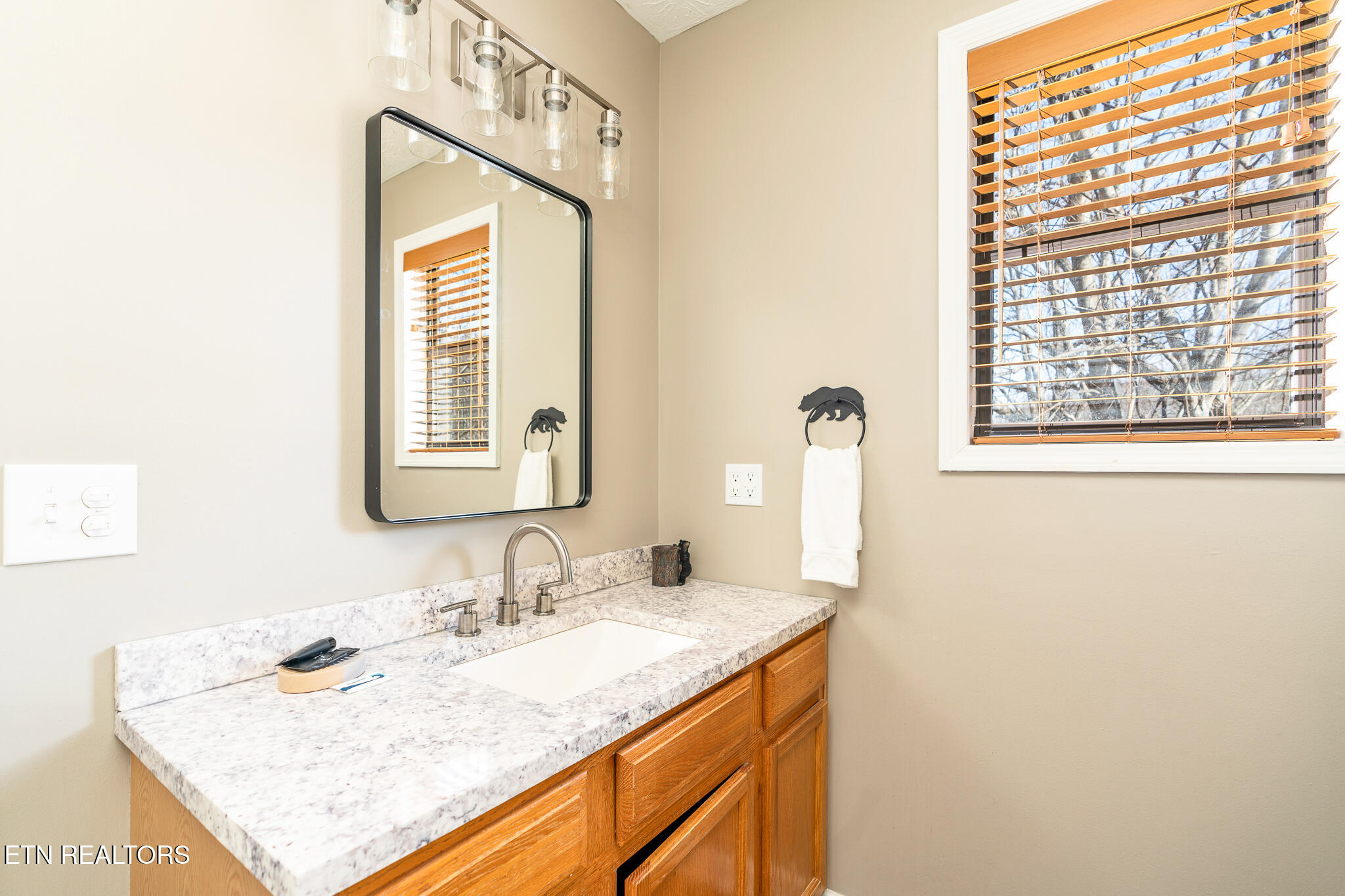 1136 Laddie Buck Lane Property Photo 15