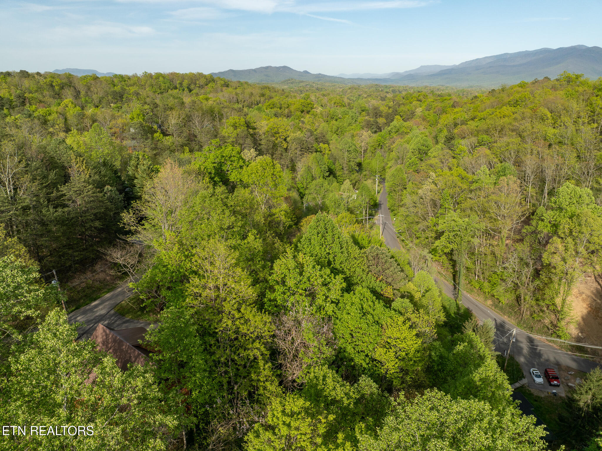1136 Laddie Buck Lane Property Photo 31