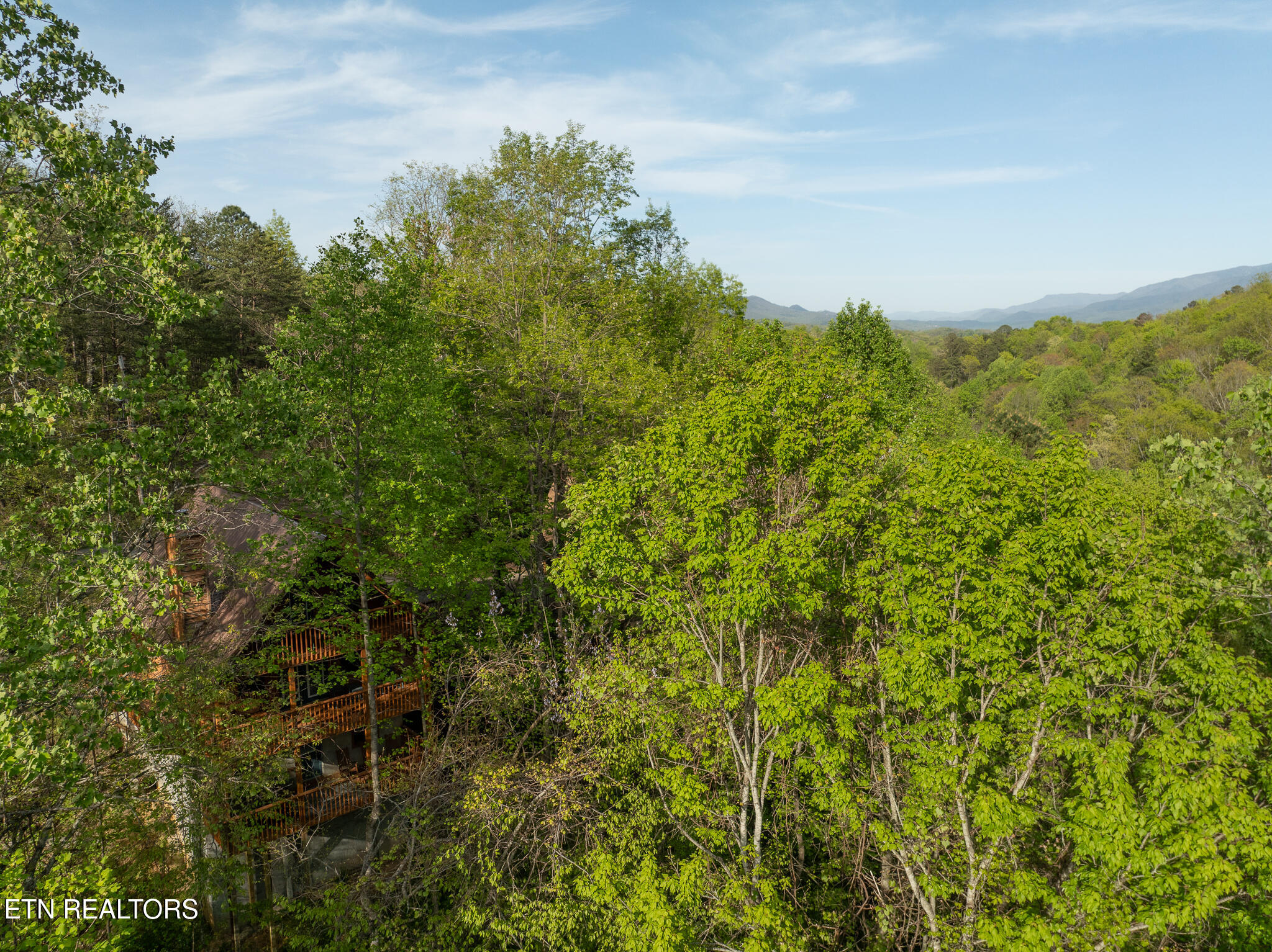 1136 Laddie Buck Lane Property Photo 32