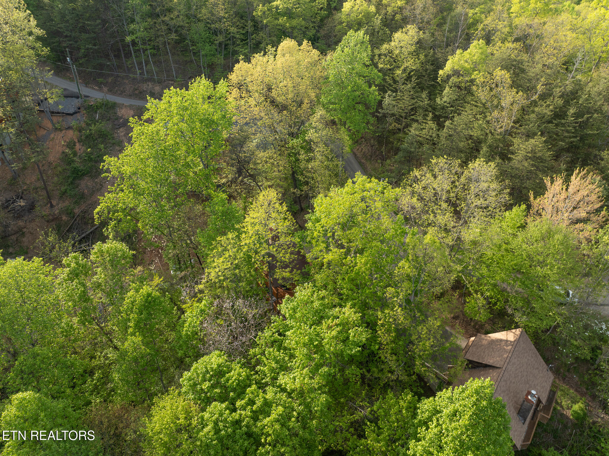 1136 Laddie Buck Lane Property Photo 33