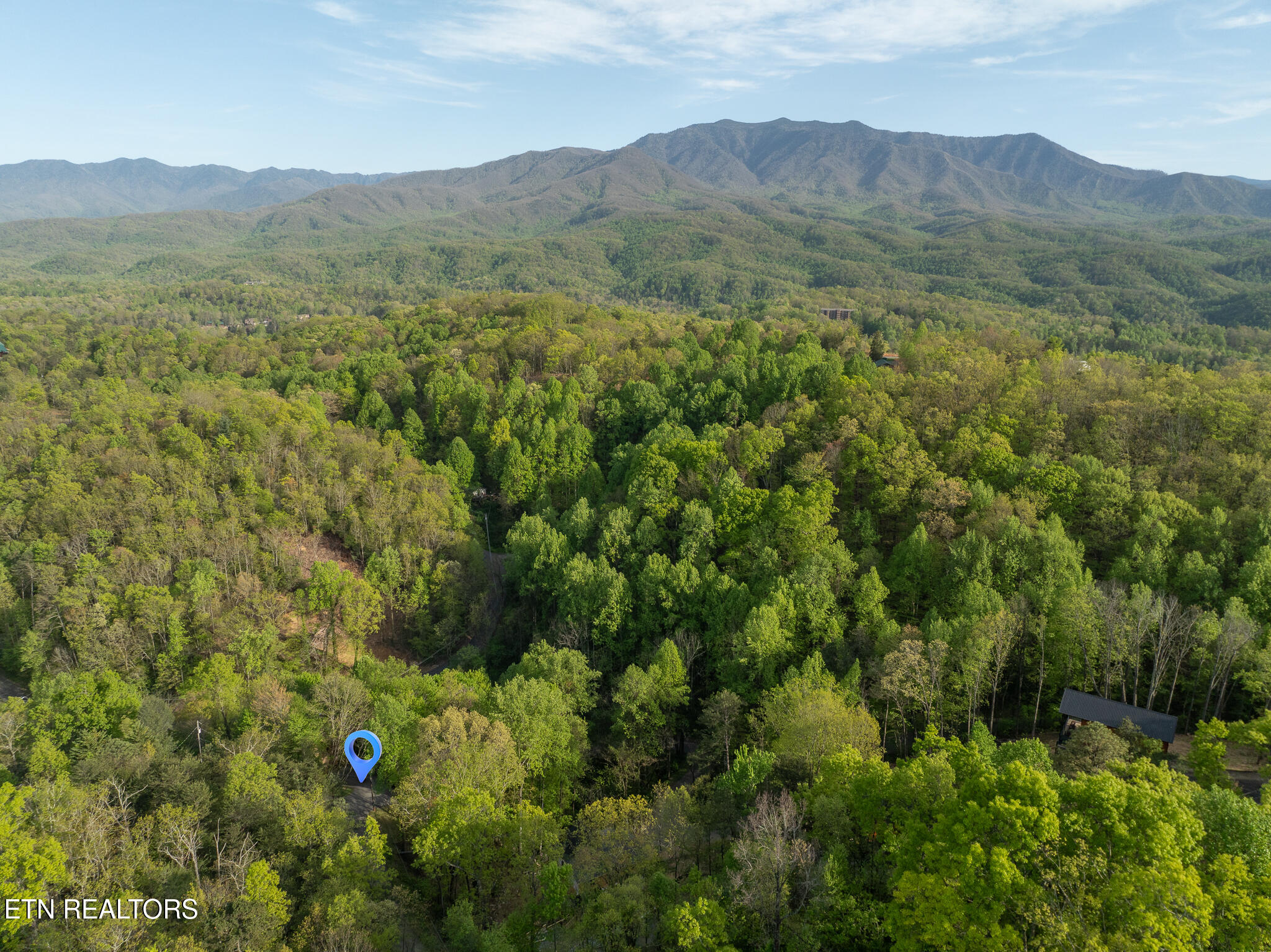 1136 Laddie Buck Lane Property Photo 35