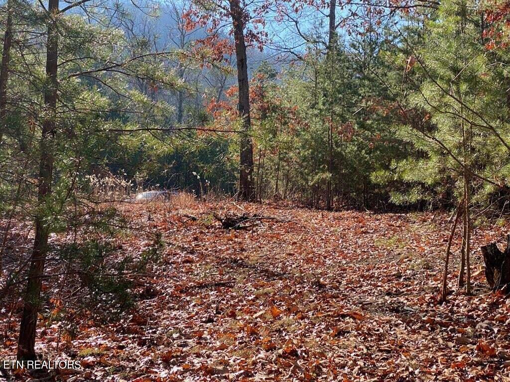 Lot English Springs Way Property Photo
