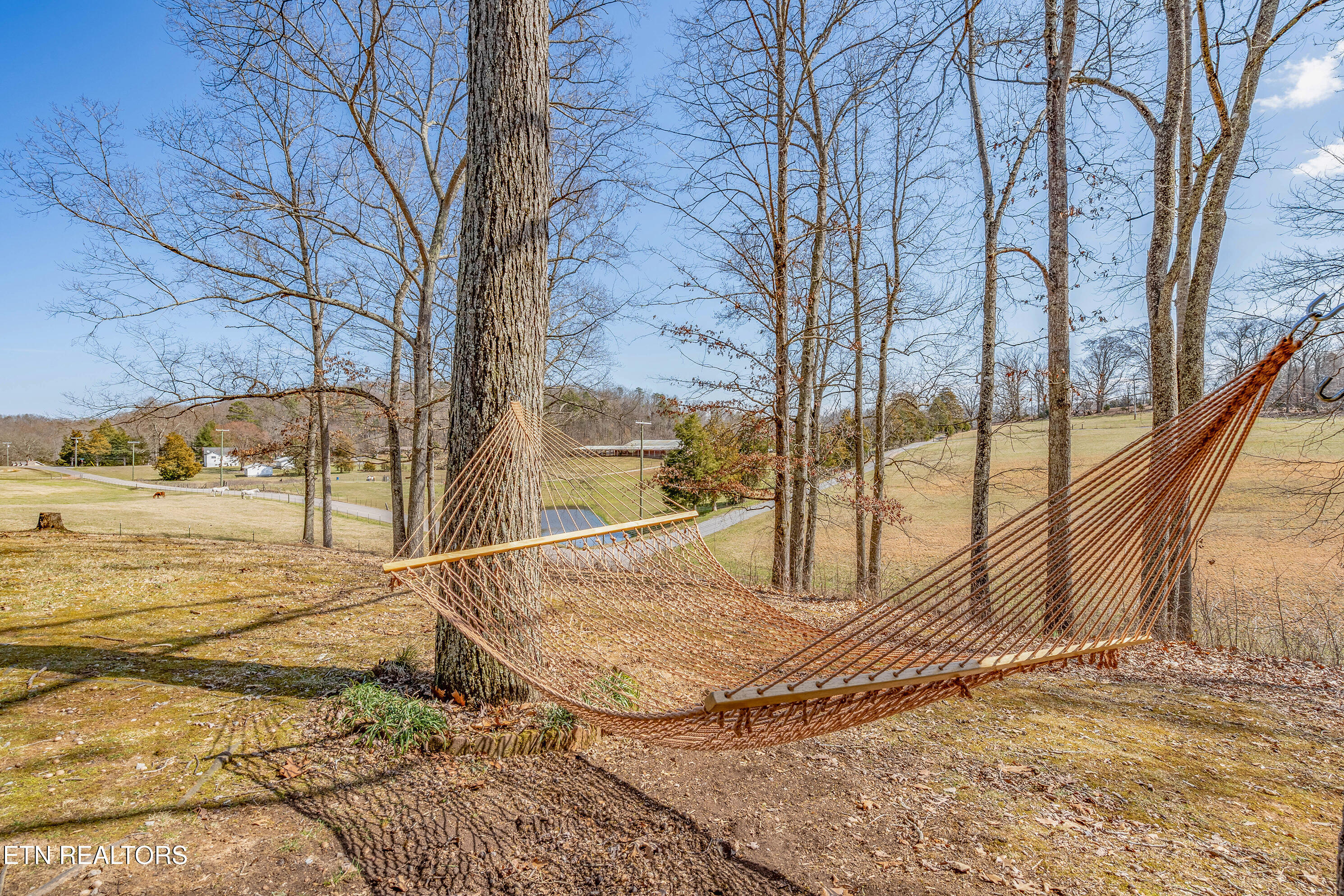 309 Old Andersonville Pike Property Photo 40