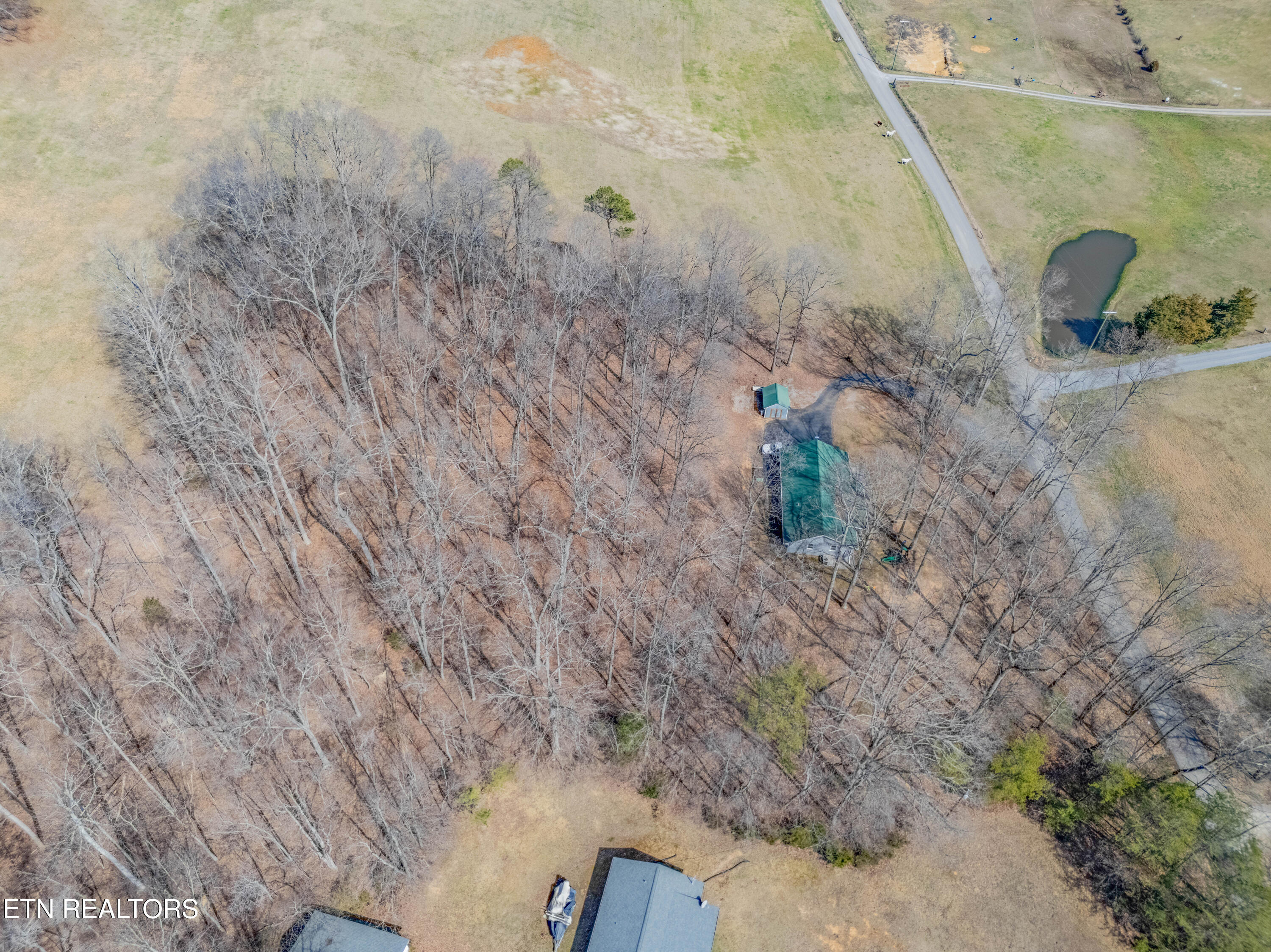 309 Old Andersonville Pike Property Photo 45