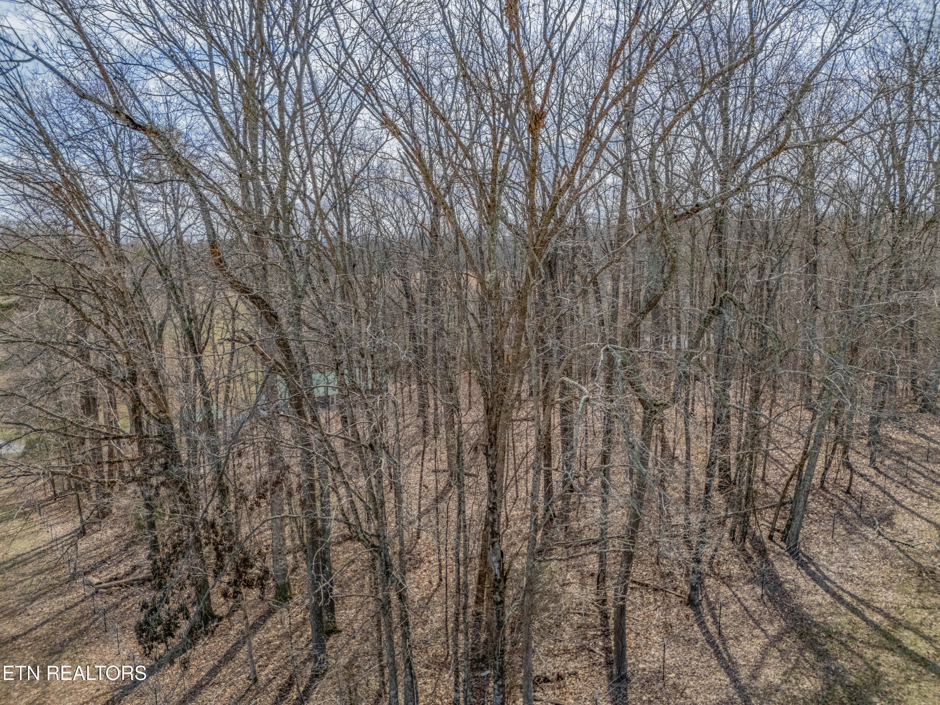 309 Old Andersonville Pike Property Photo 47
