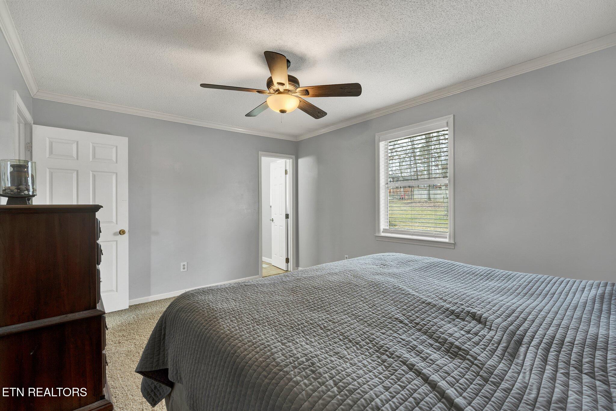 373 Ne Old Tasso Place Property Photo 26