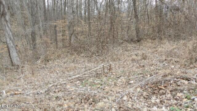 Tract 24 Beaver Lane Property Photo