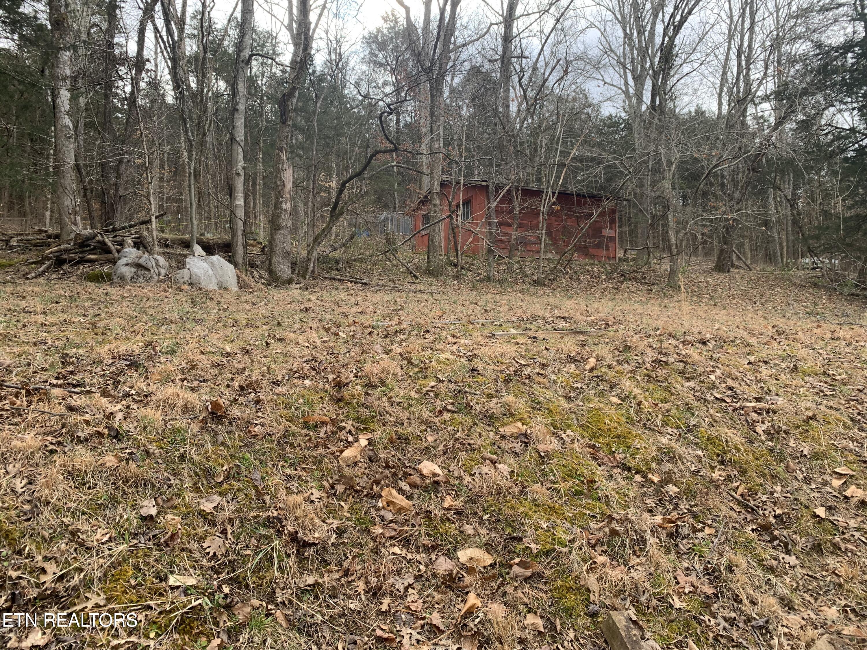 313 Ben Myers Lane Property Photo 19