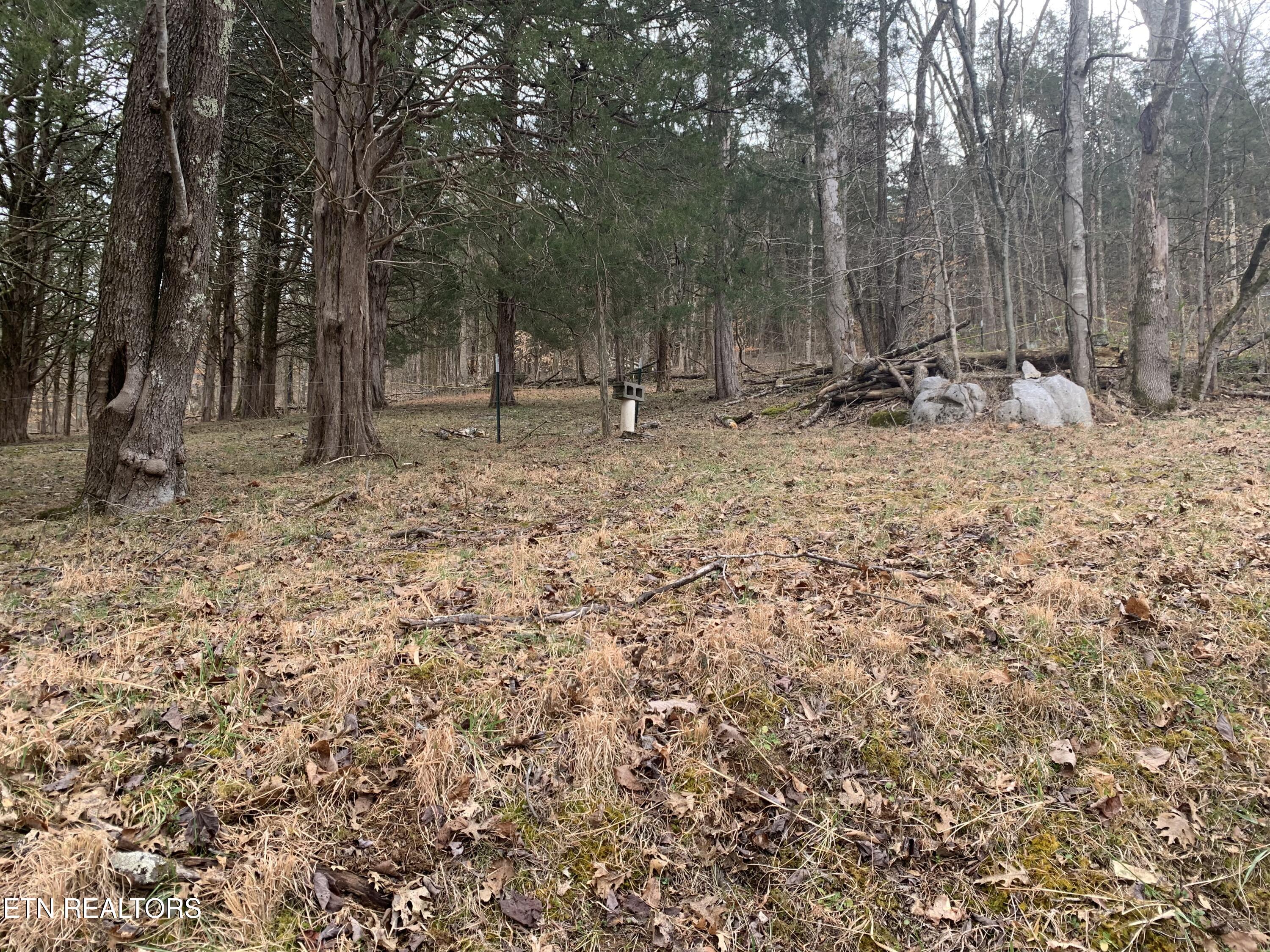 313 Ben Myers Lane Property Photo 20
