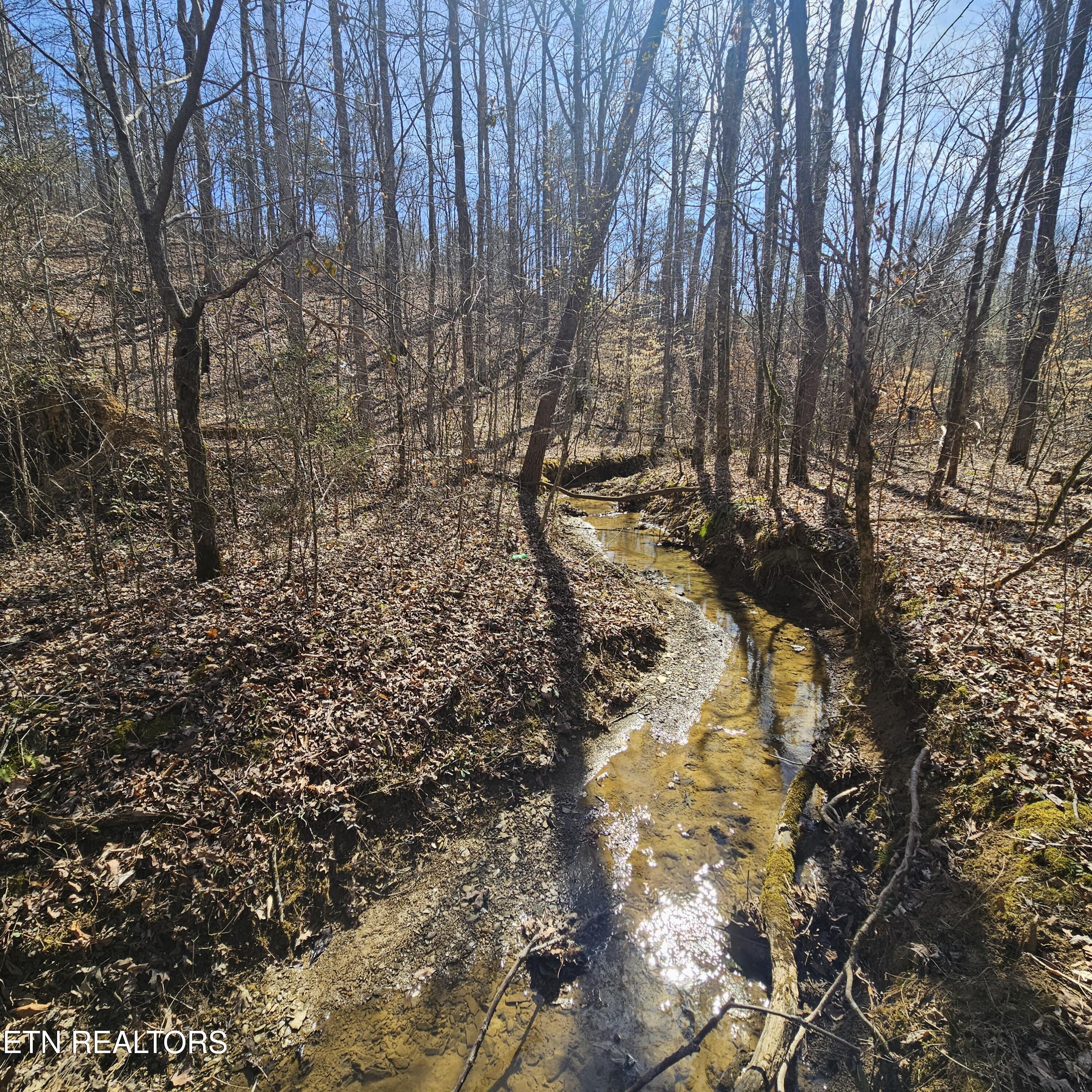 0 Lick Creek Rd Property Photo