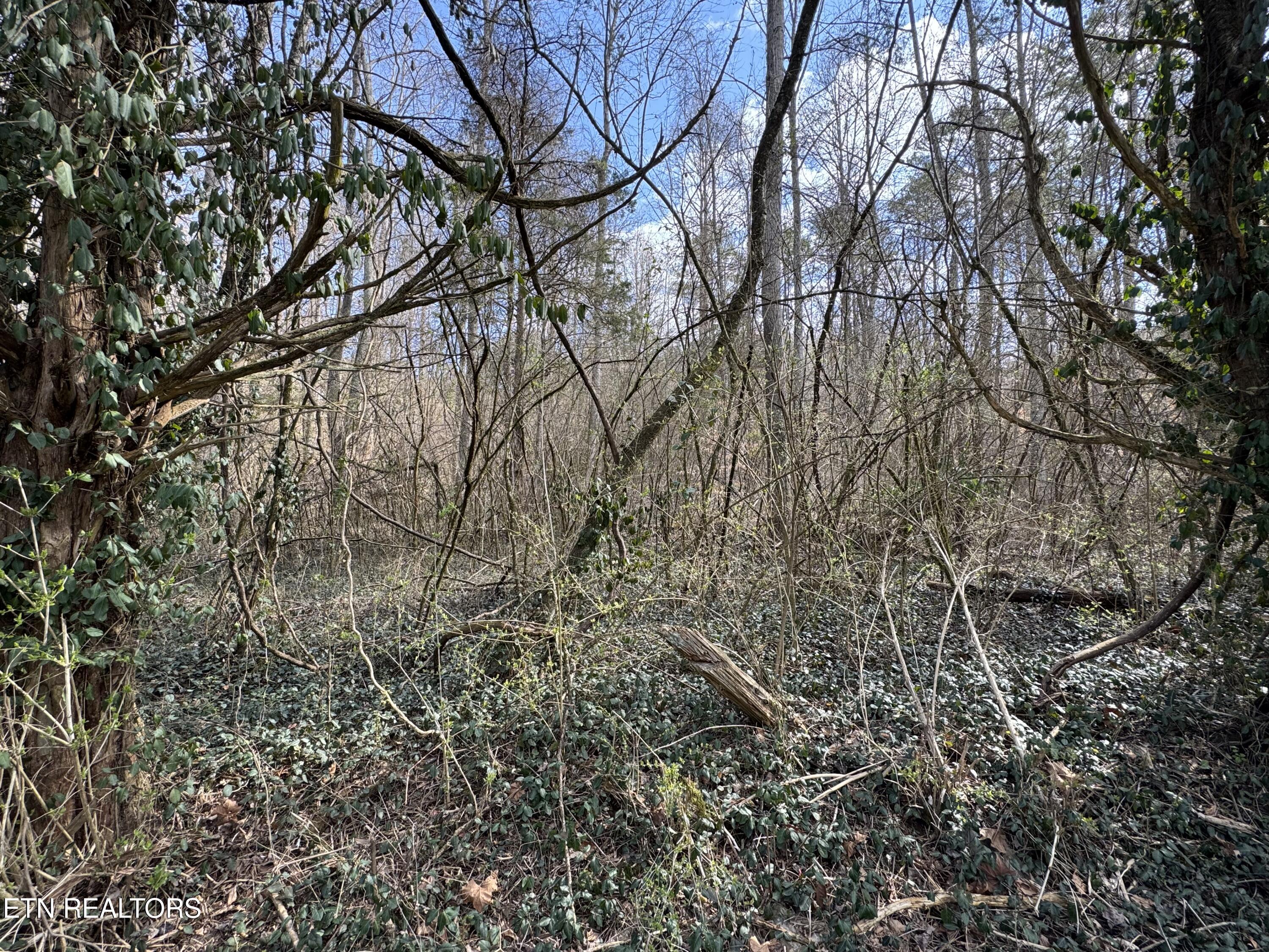 918 Mccubbins Rd Property Photo
