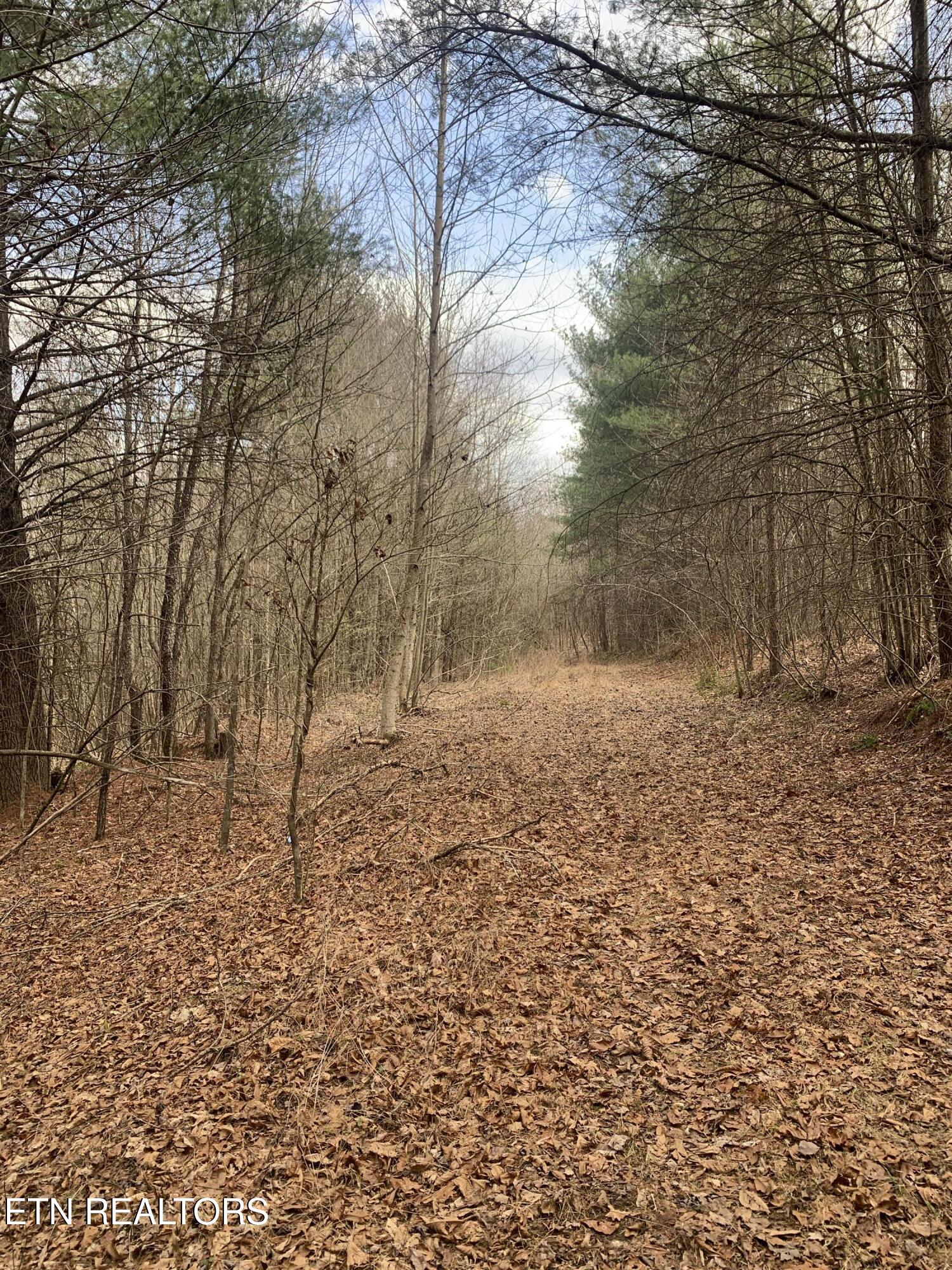 117 Coon Creek Rd Property Photo